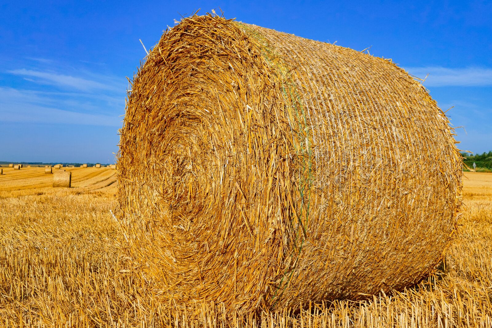 Panasonic Lumix DMC-FZ1000 sample photo. Straw, bundle, normandy photography