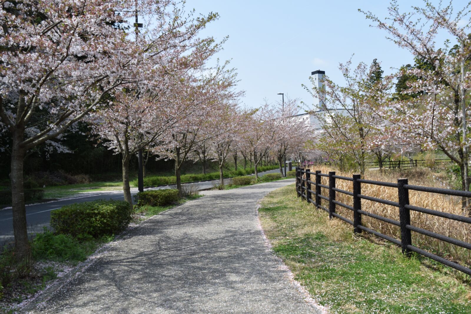 Nikon D3300 sample photo. Tree, station, landscape photography