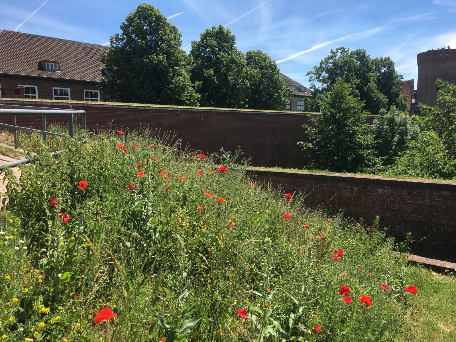 Apple iPhone 6s sample photo. Citadel spandau, castle, nature photography
