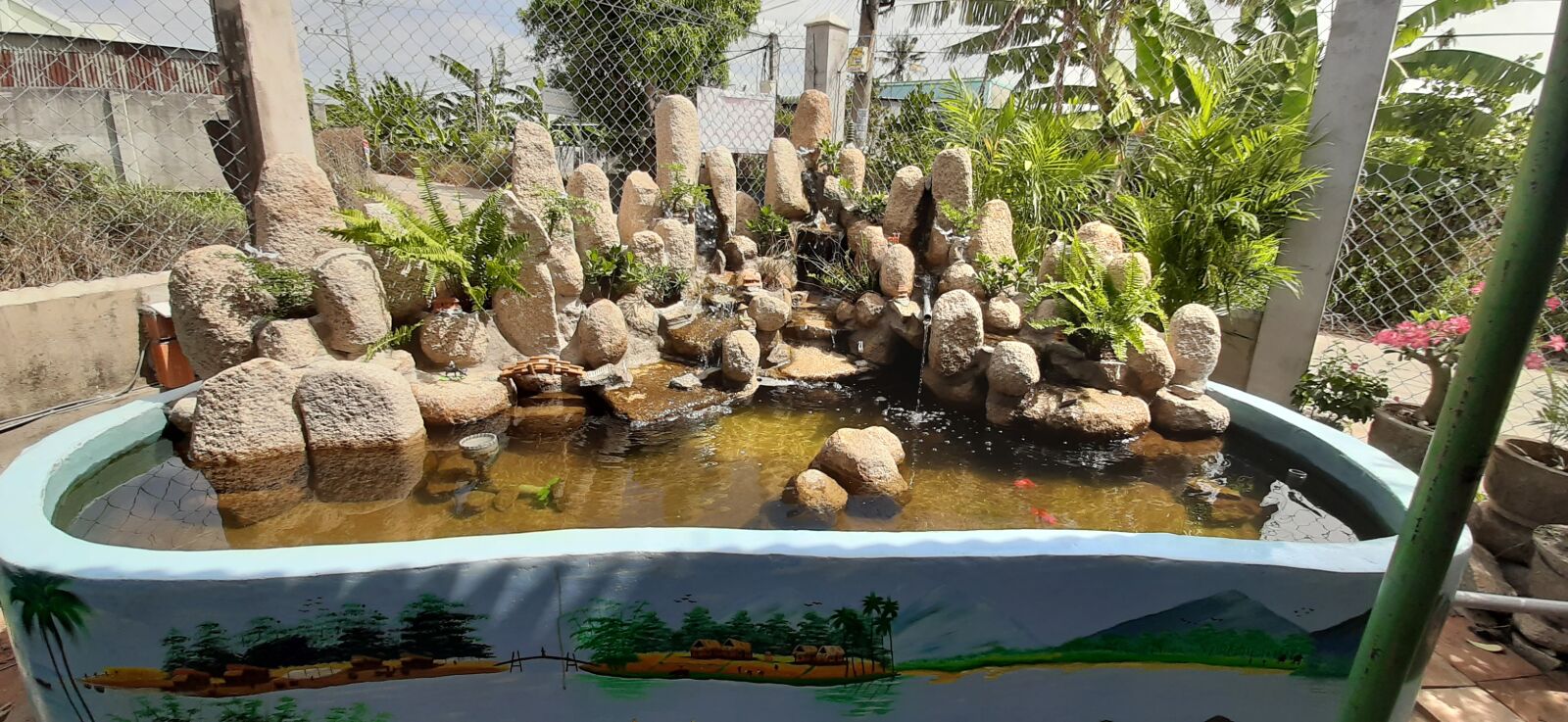 Samsung Galaxy A50 sample photo. Aquarium, diy aquarium, fish photography