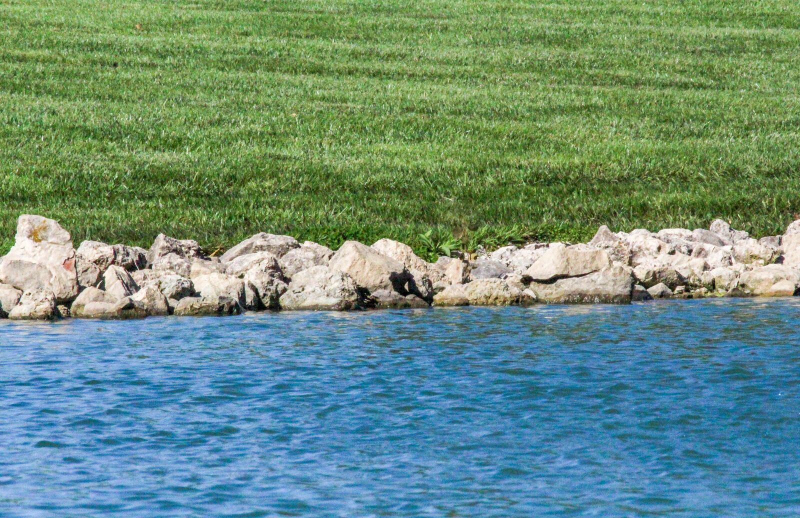 Canon EOS 700D (EOS Rebel T5i / EOS Kiss X7i) sample photo. Water, nature, sea photography