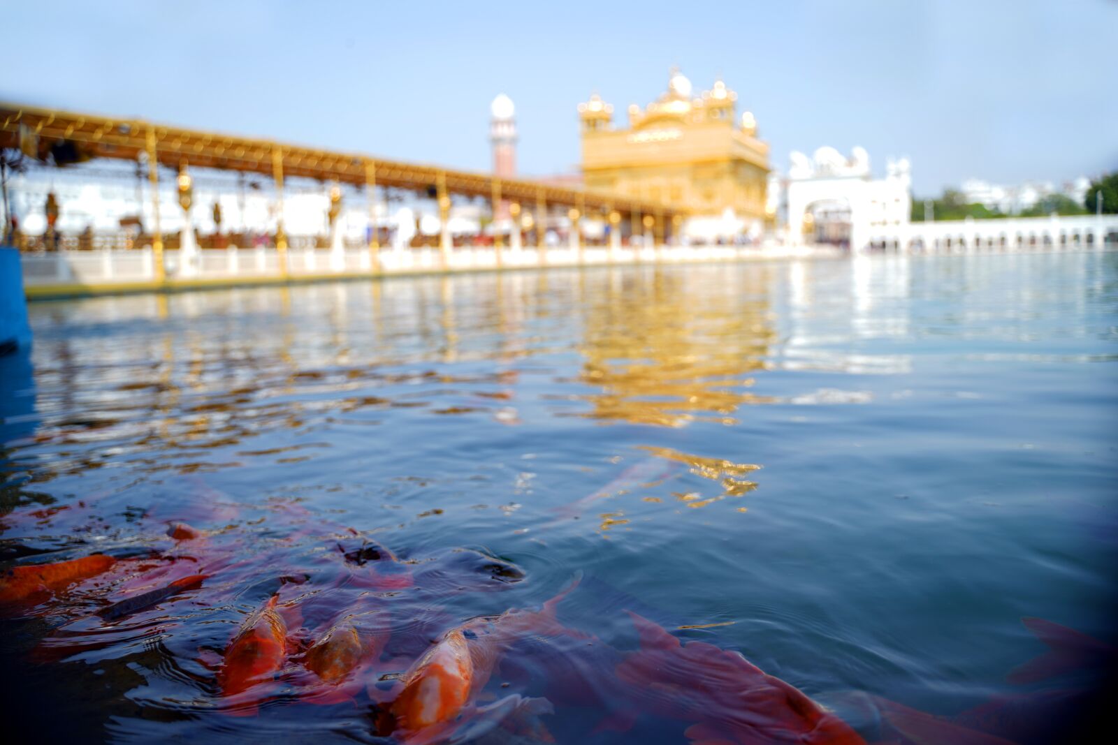 Sony a7 III + Tamron 28-75mm F2.8 Di III RXD sample photo. Architecture, indian, worship photography