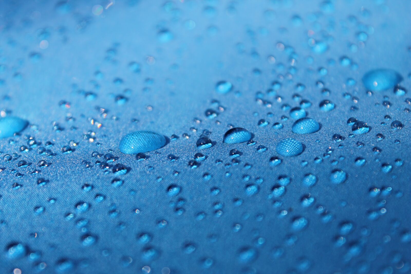 Canon EOS 1100D (EOS Rebel T3 / EOS Kiss X50) sample photo. Drops, blue background, raindrops photography