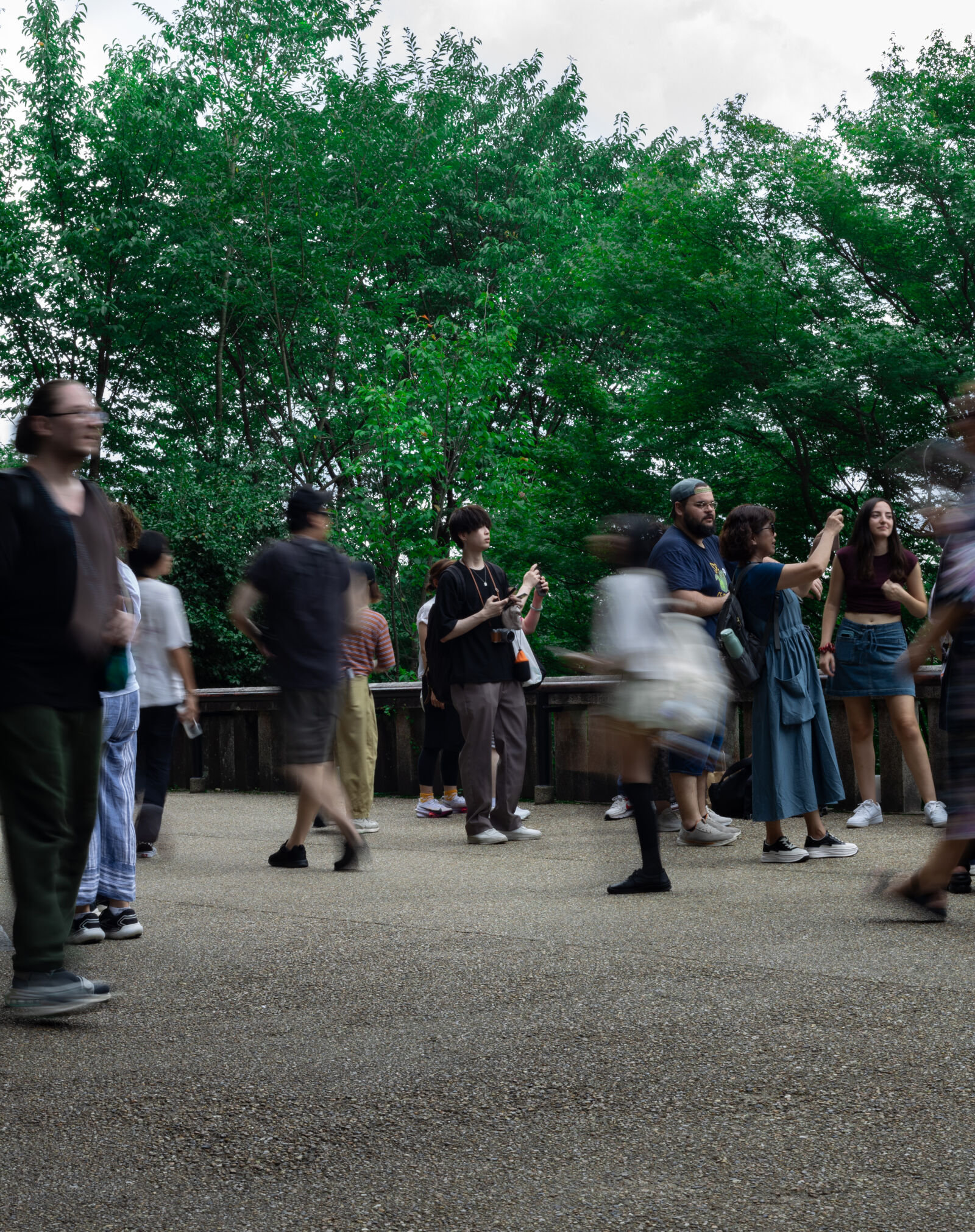 Canon EF 50mm F1.8 STM sample photo