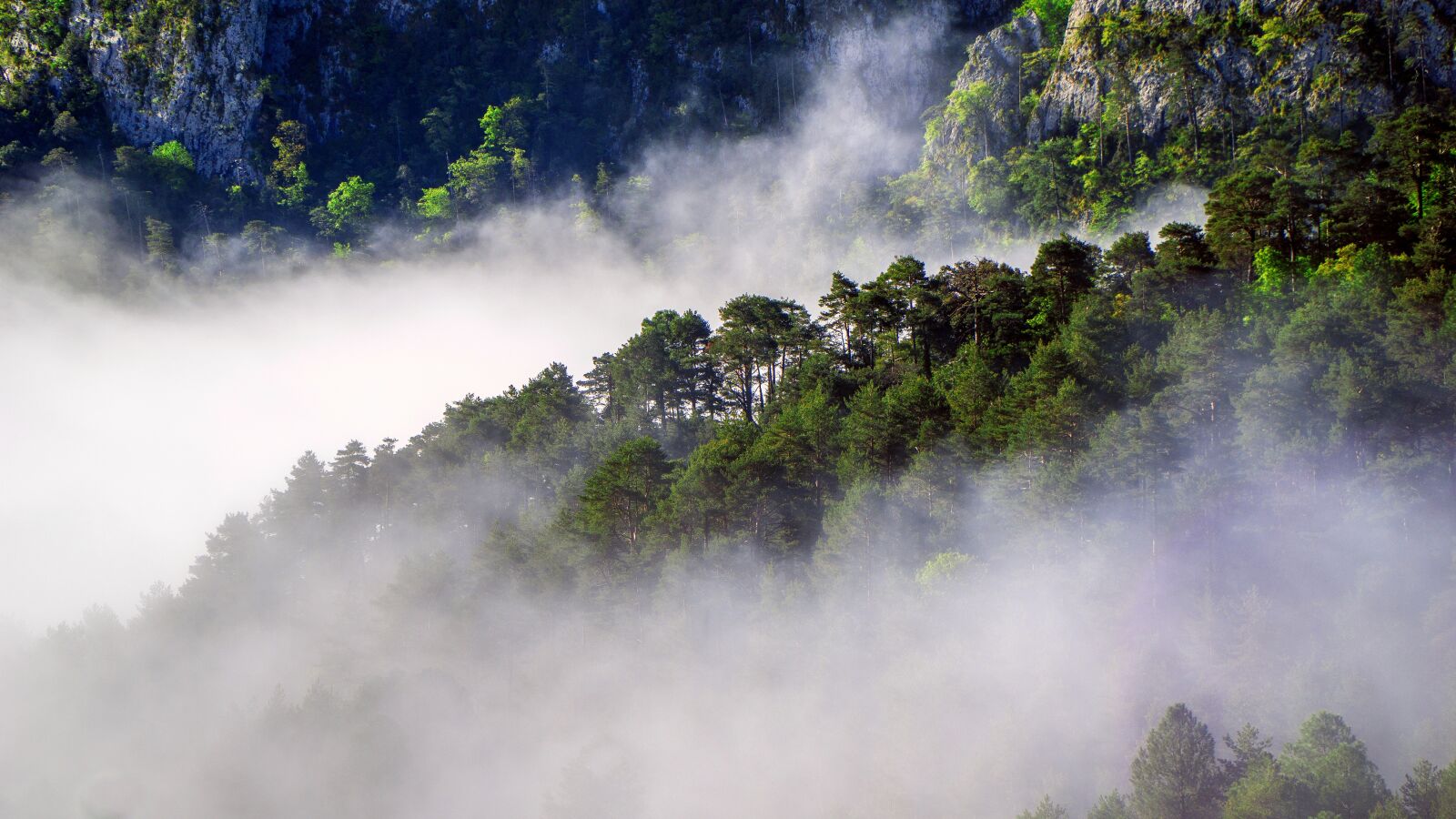 Sony a6000 + Sony E PZ 18-105mm F4 G OSS sample photo. Fog, meteorology, sky photography