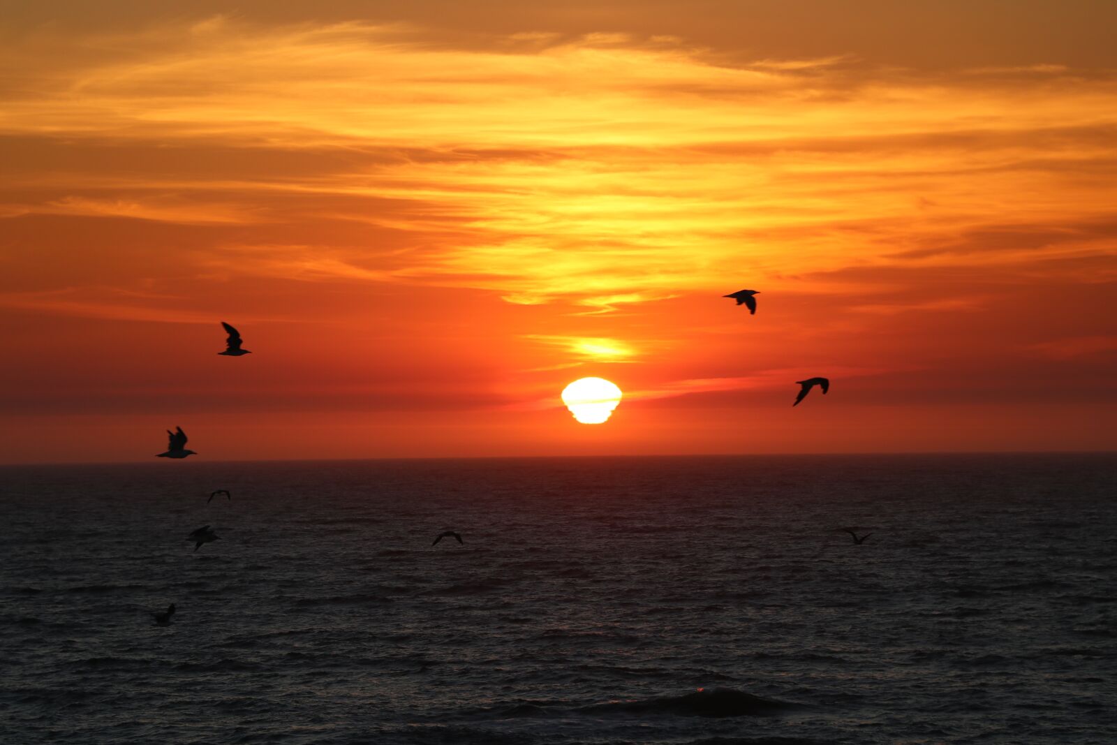 Canon EF-S 18-135mm F3.5-5.6 IS USM sample photo. Sunset, porto, landscape photography