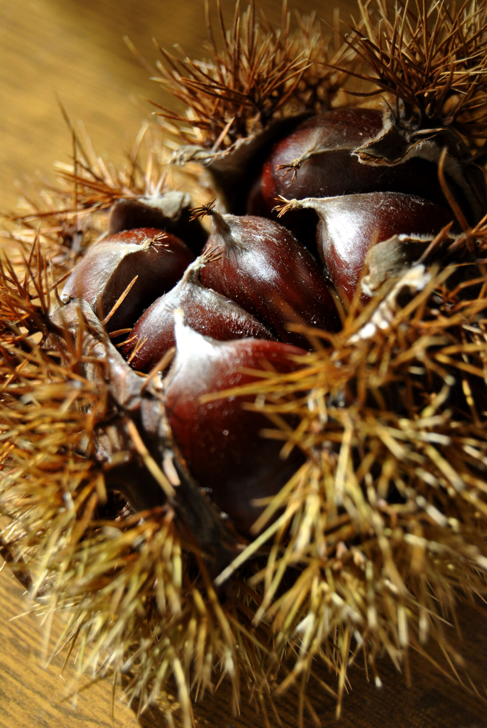 Nikon D3000 sample photo