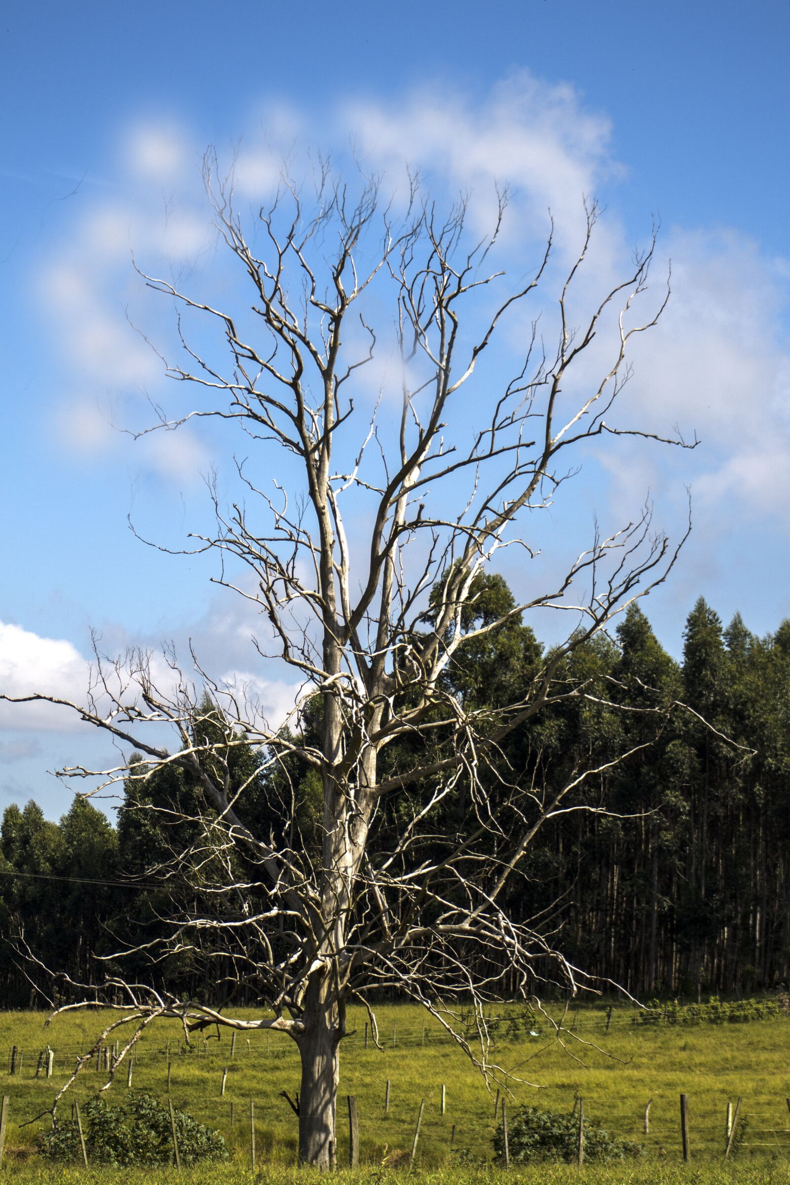 Canon EOS 1200D (EOS Rebel T5 / EOS Kiss X70 / EOS Hi) sample photo. Flying, dry, landscape photography