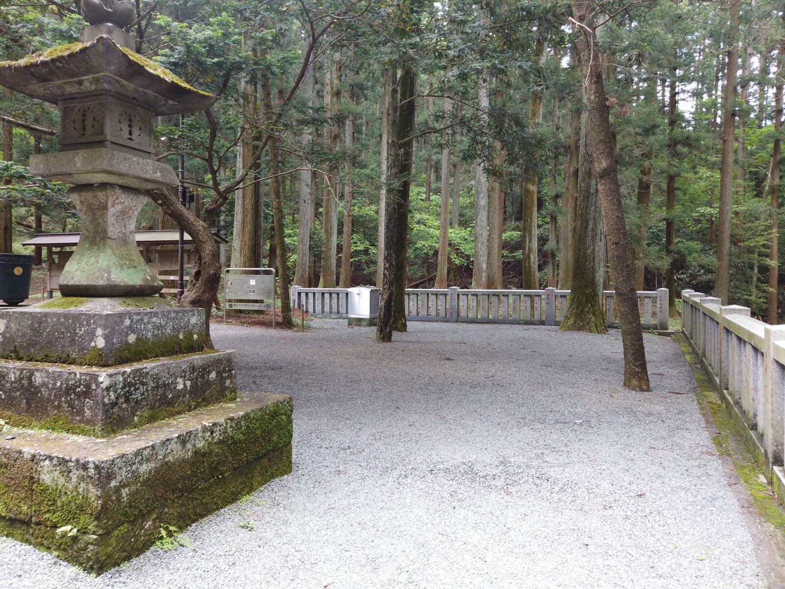 DJI Osmo Pocket sample photo. Japan, shrine, torii photography