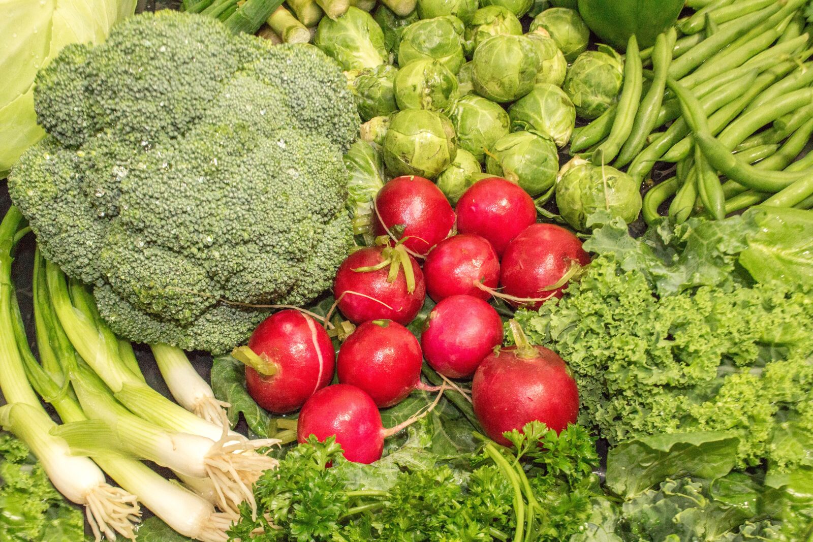 Canon EOS 700D (EOS Rebel T5i / EOS Kiss X7i) sample photo. Vegetable, food, cabbage photography