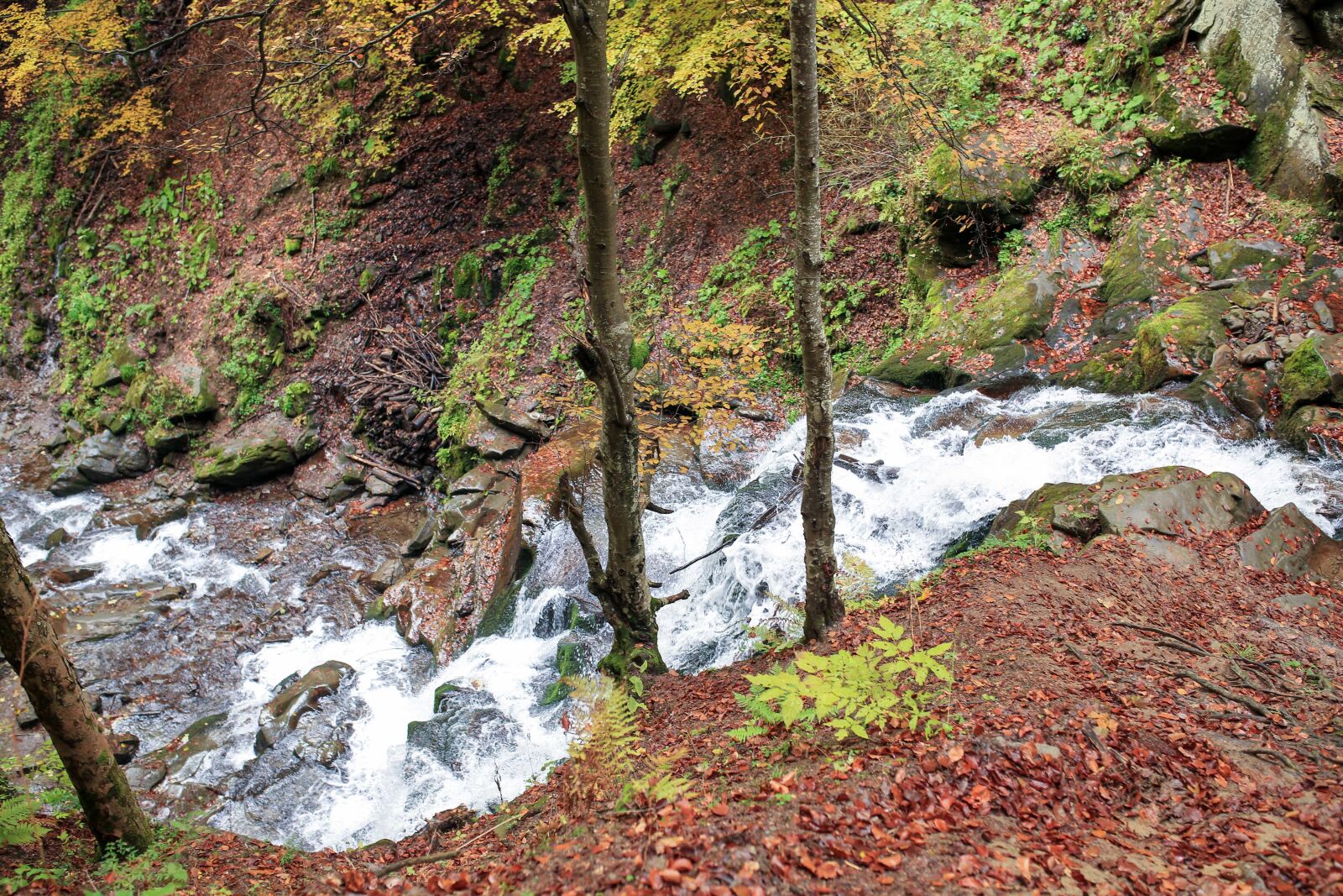 Canon EOS 5D Mark III sample photo. Mountains, small river, creek photography