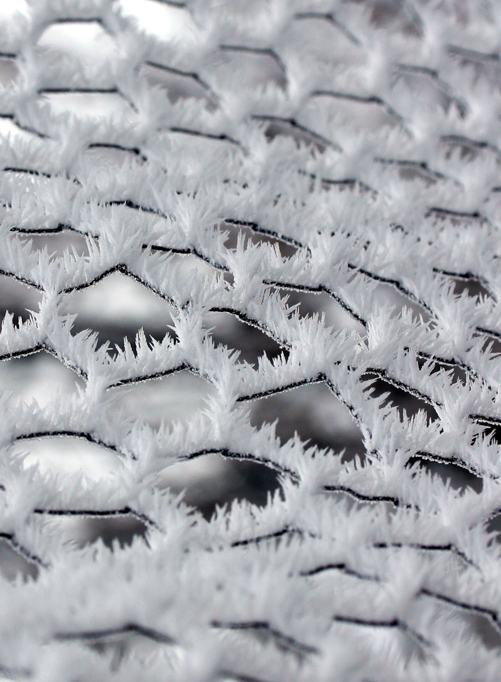 Canon EF-S 60mm F2.8 Macro USM sample photo. Fence, winter, frozen photography
