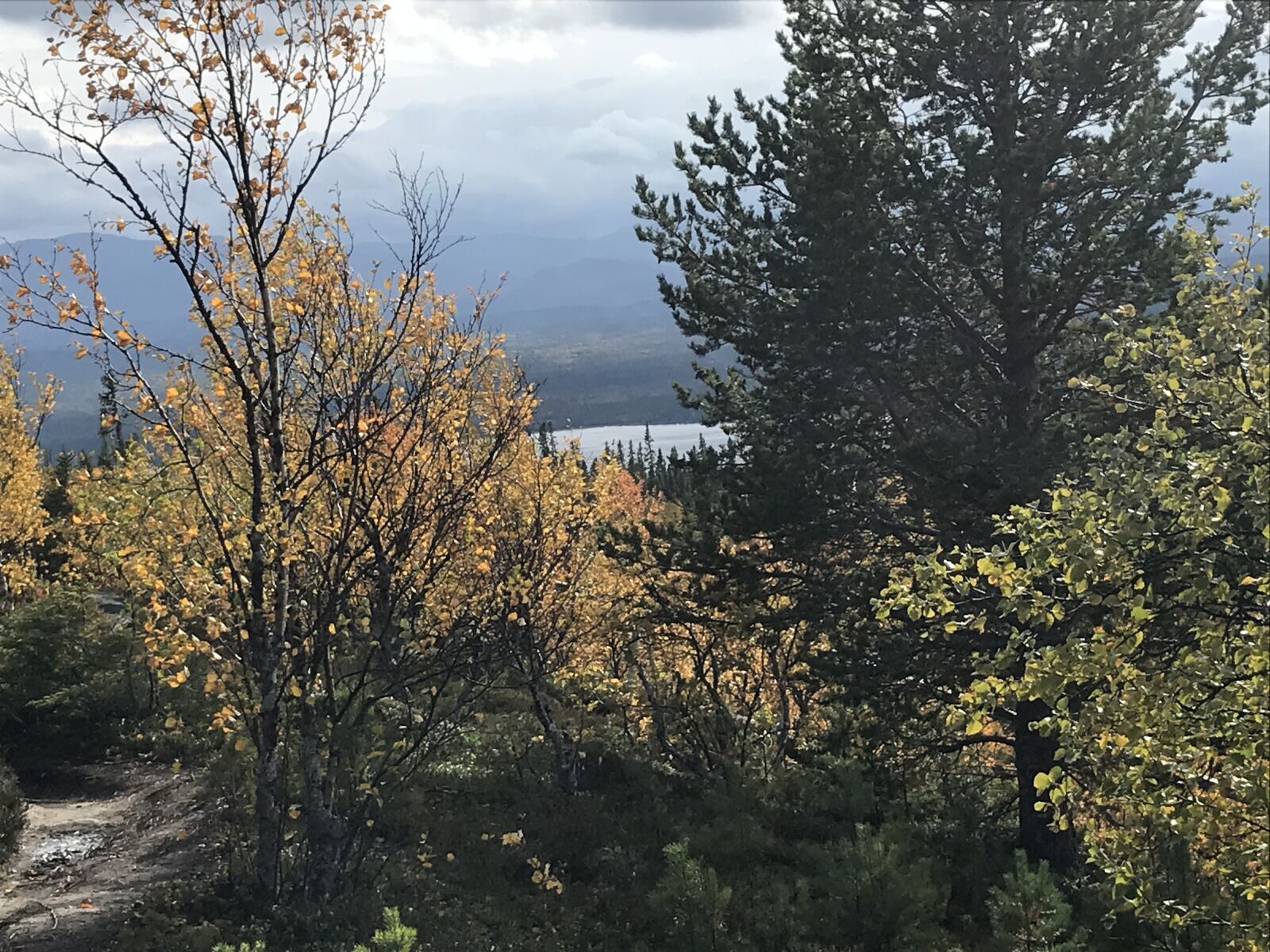 iPhone 7 back camera 3.99mm f/1.8 sample photo. Autumn, mountain, fells photography