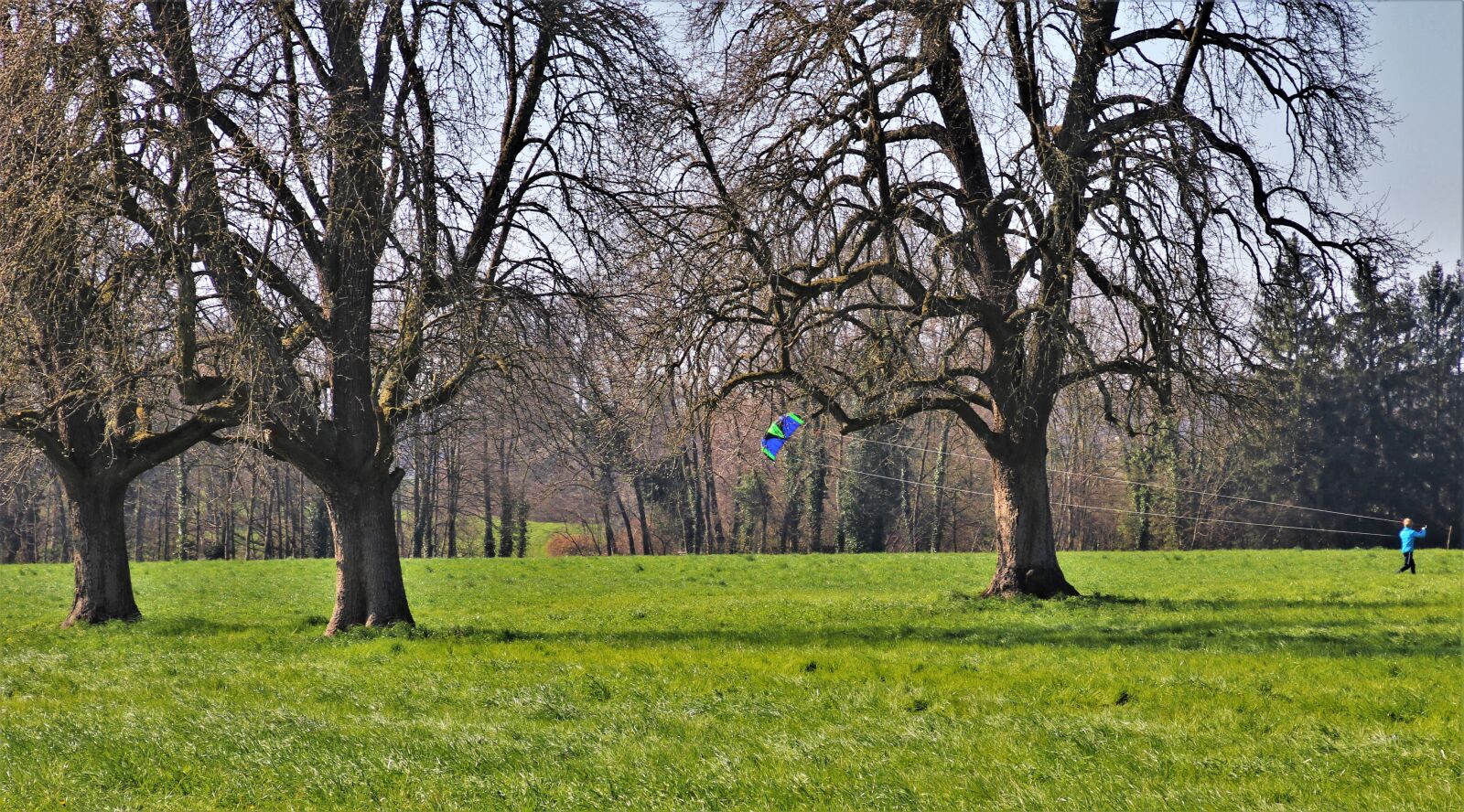 Canon EOS 80D sample photo. Grass, kite, wind photography