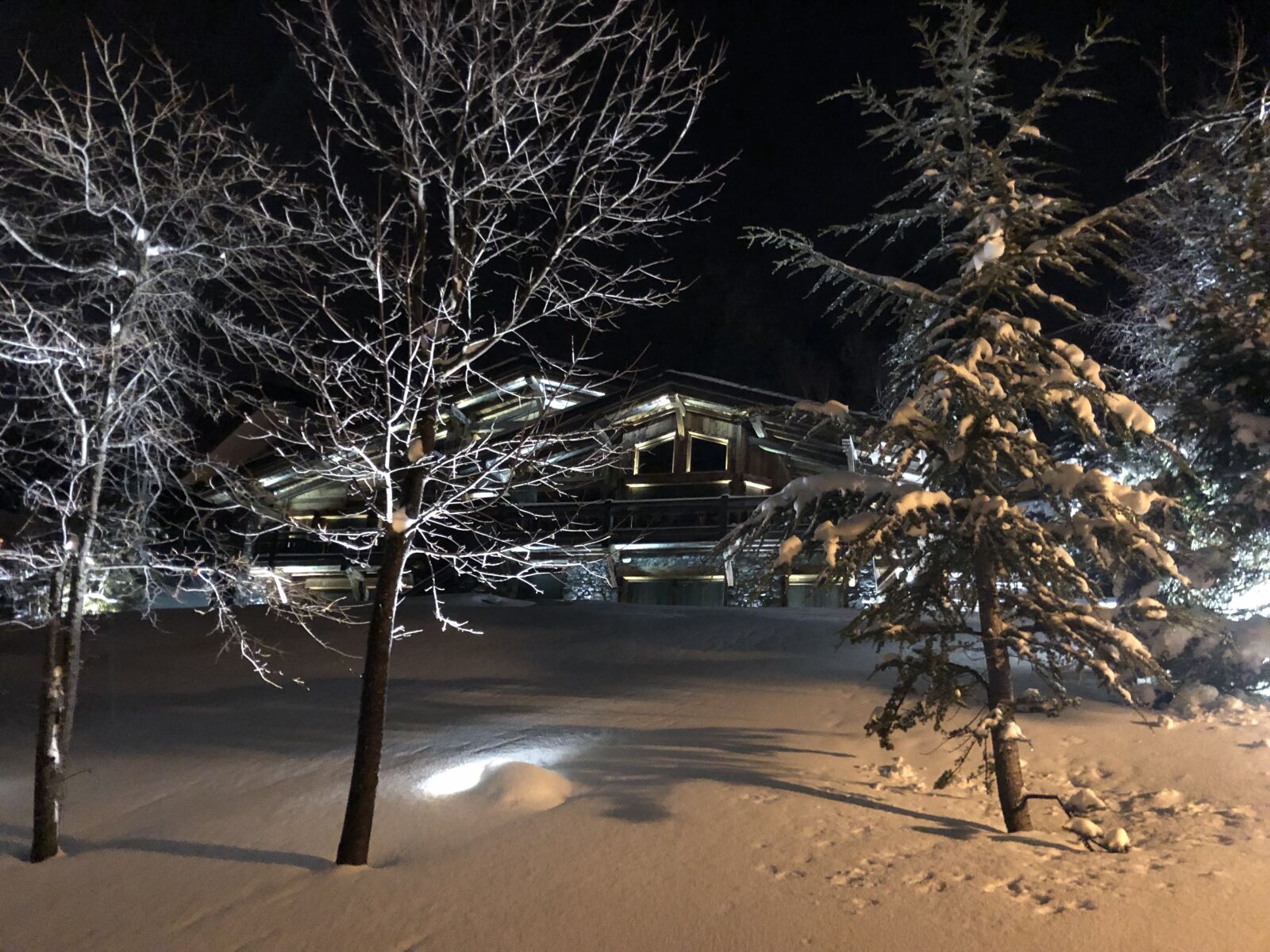 Apple iPhone 8 sample photo. Snow, christmas, tree photography