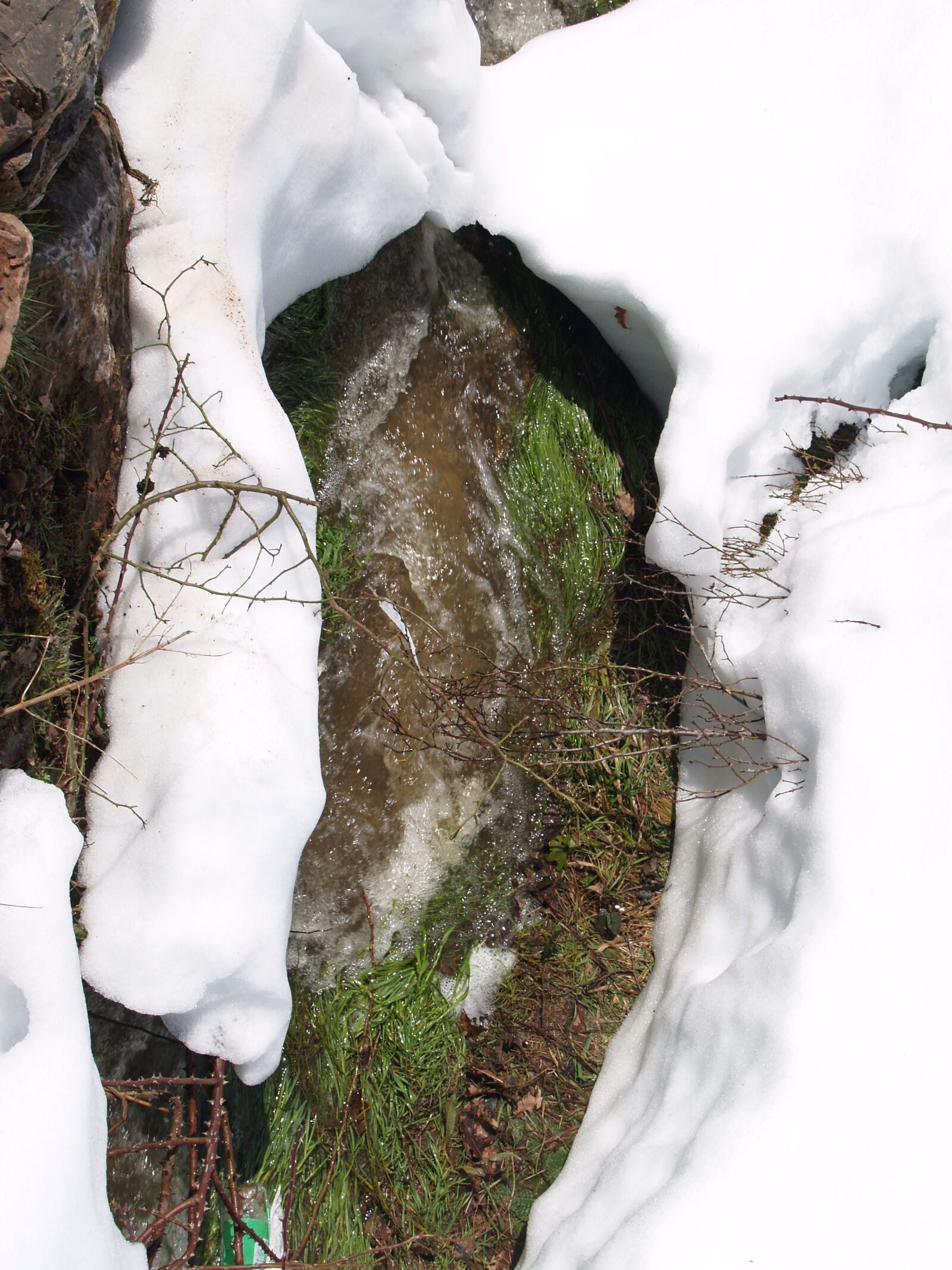 Olympus E-500 (EVOLT E-500) sample photo. Agua, bosque, nieve photography