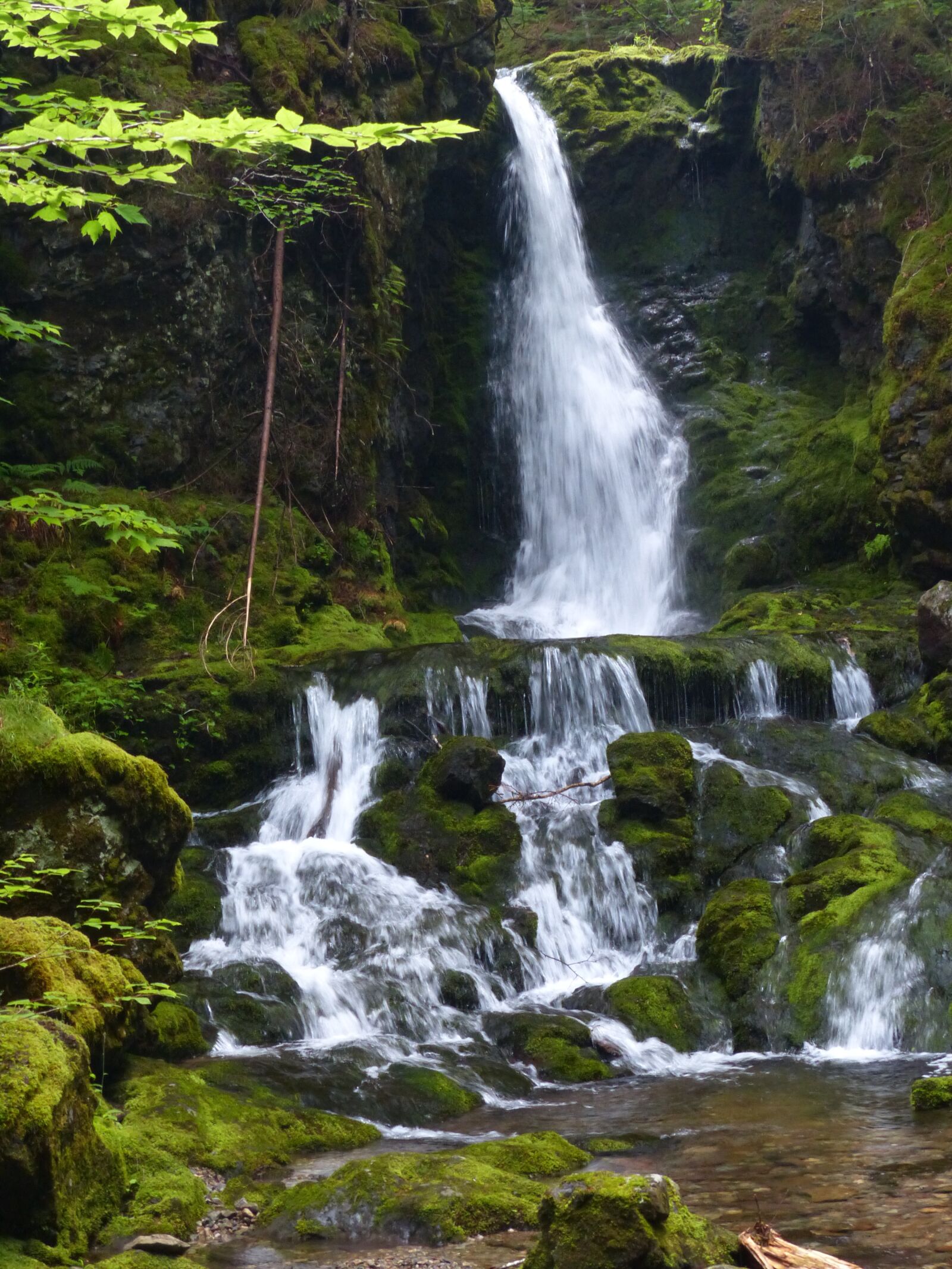 Panasonic Lumix DMC-FZ200 sample photo. Nature, forest, waterfall photography