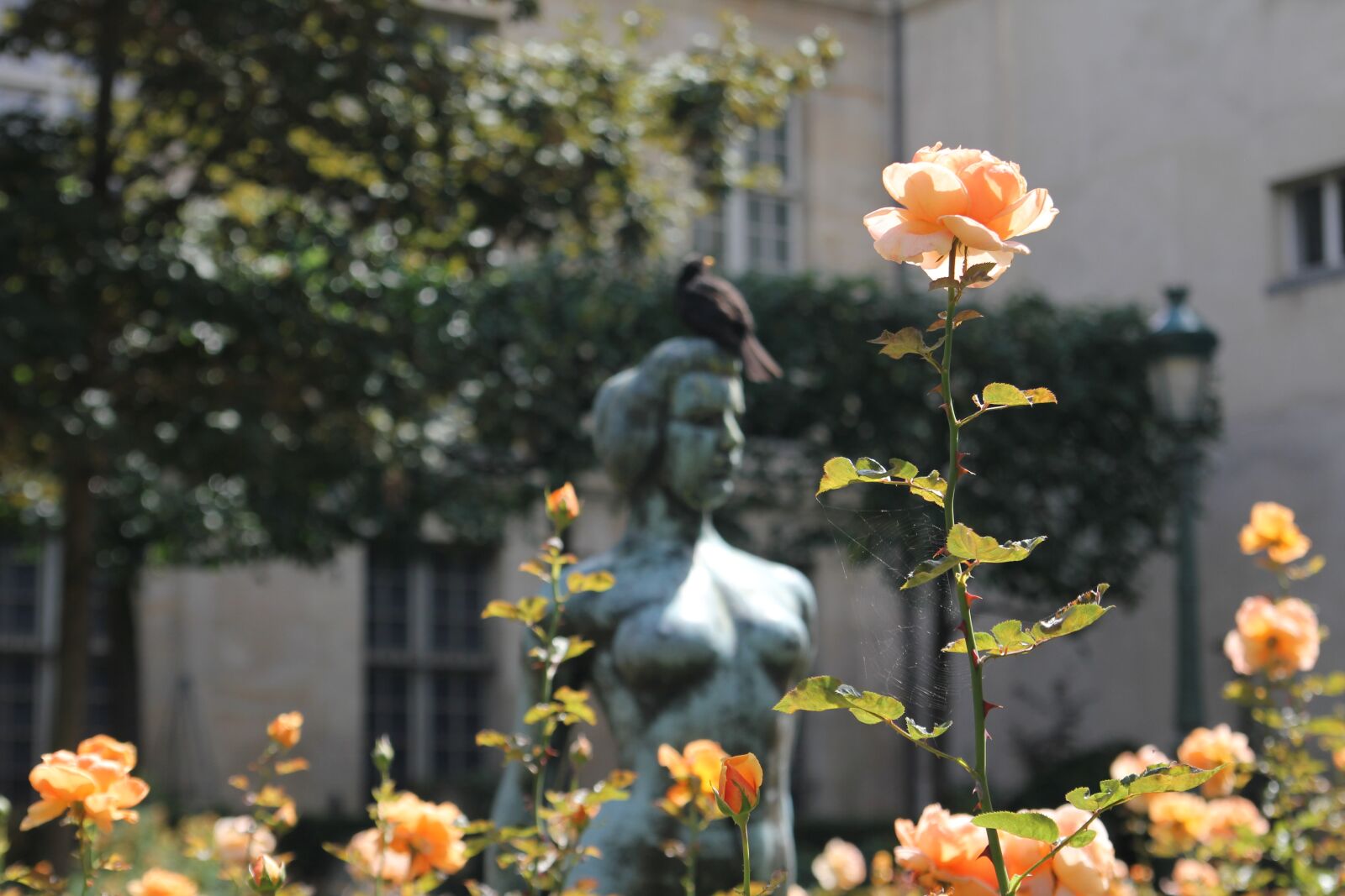 Canon EOS 550D (EOS Rebel T2i / EOS Kiss X4) sample photo. Paris, statue, france photography