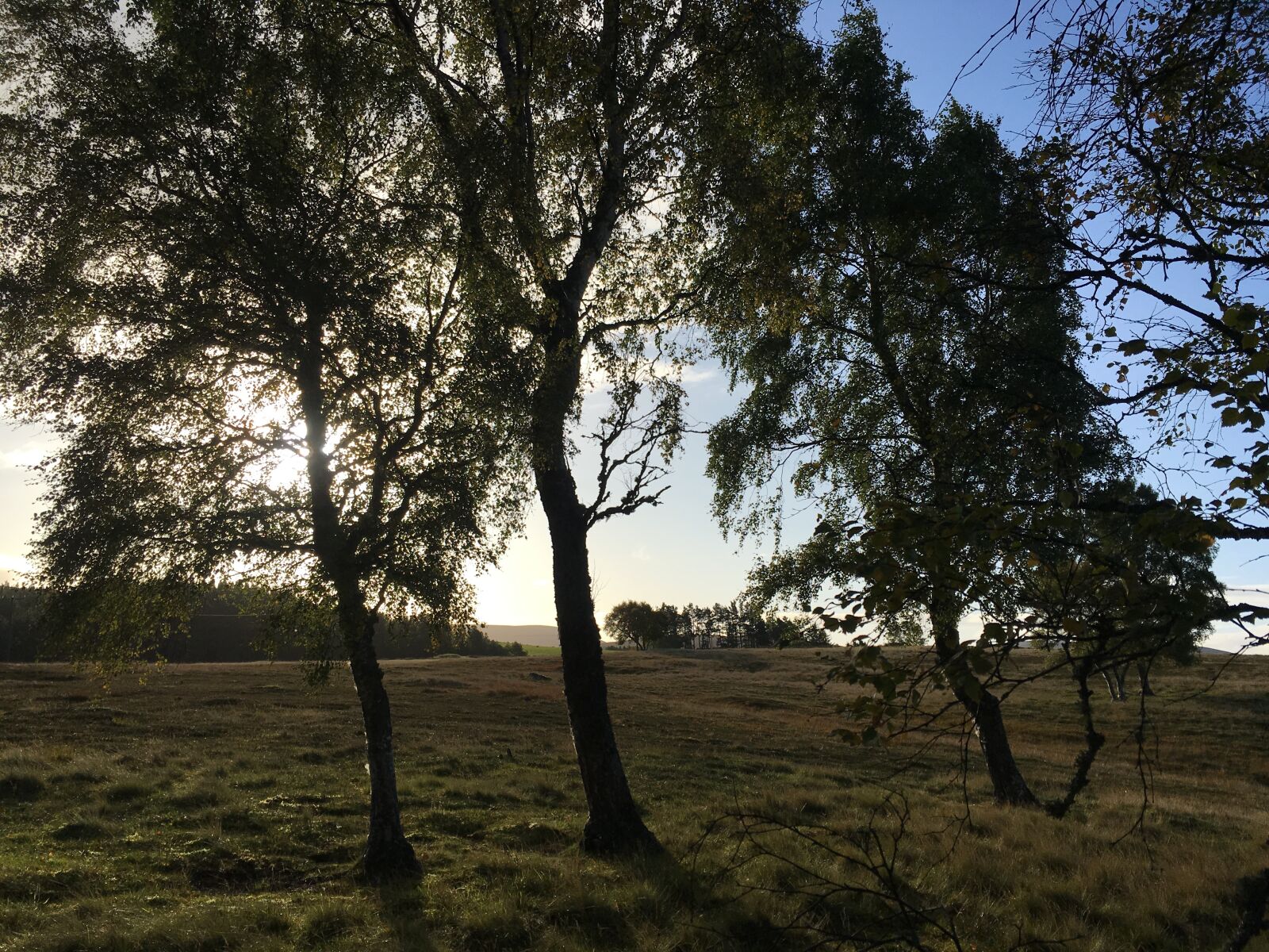 Apple iPhone 6s sample photo. Scotland, highlands and islands photography