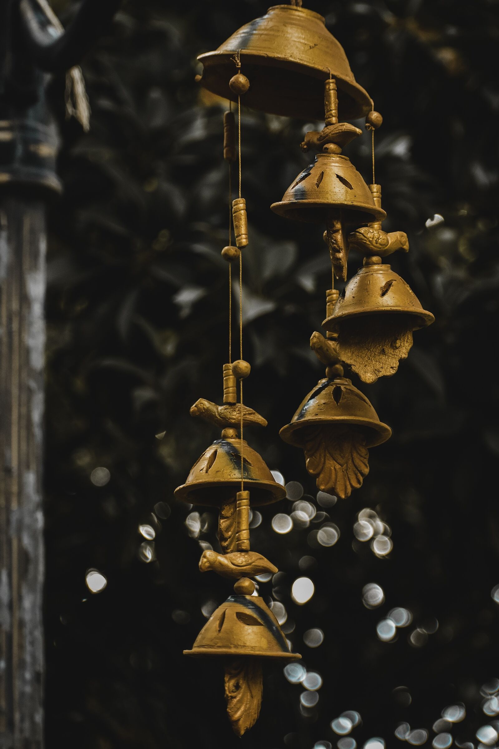 Nikon D3400 sample photo. Nature, tree, candel photography