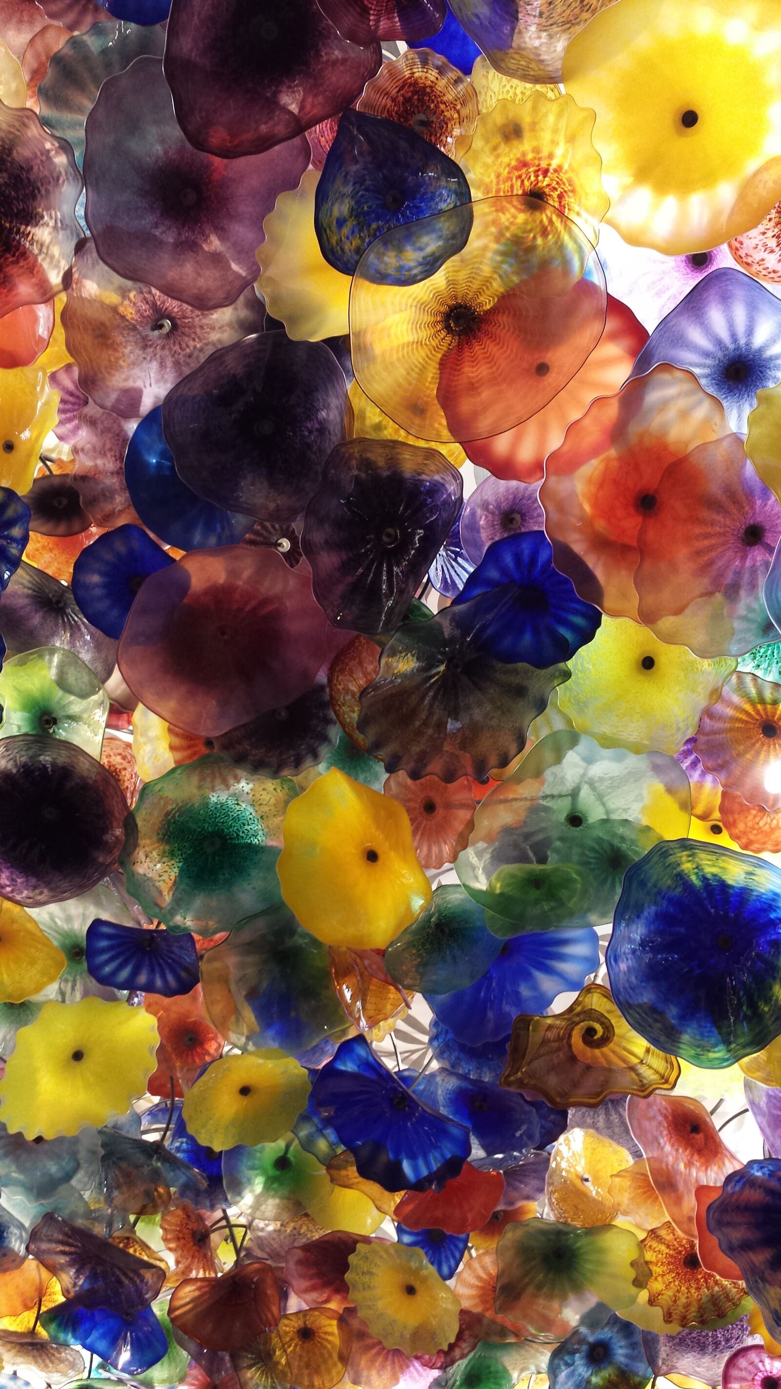 Samsung Galaxy S4 sample photo. Colors, flowers, art photography