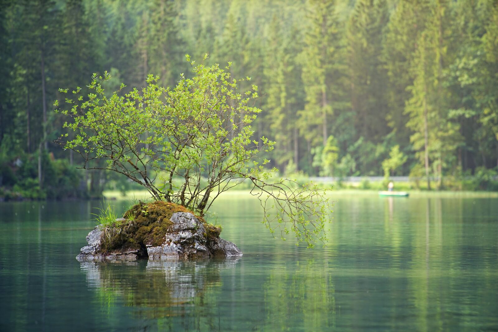 Sony a7 + Sony DT 50mm F1.8 SAM sample photo. Waters, nature, lake photography