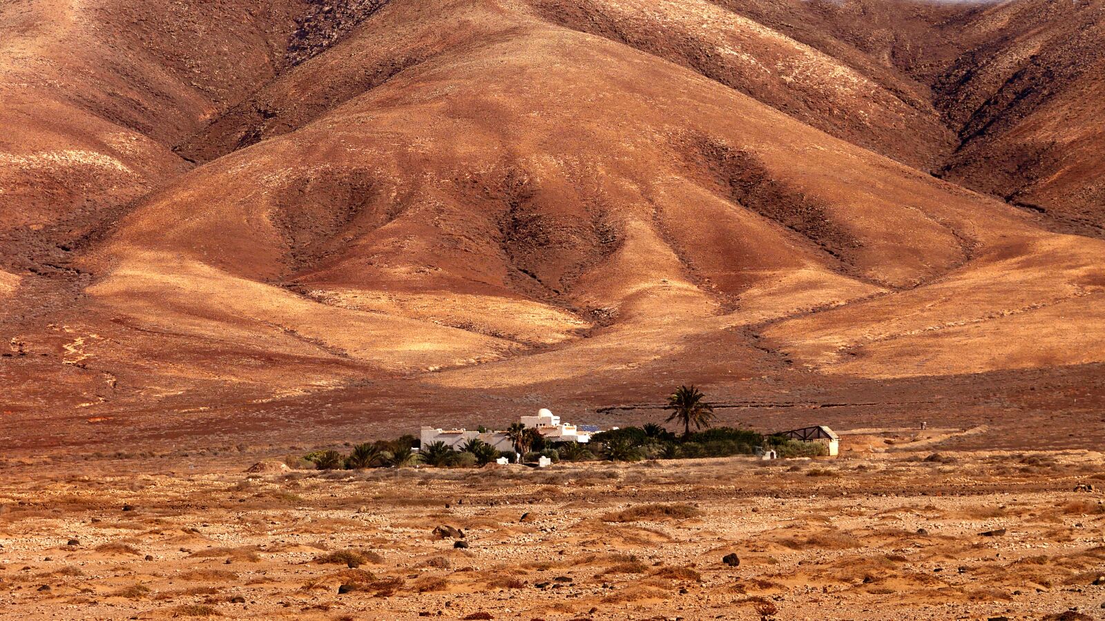 Panasonic Lumix DMC-GX85 (Lumix DMC-GX80 / Lumix DMC-GX7 Mark II) sample photo. Desert, arid, farm photography