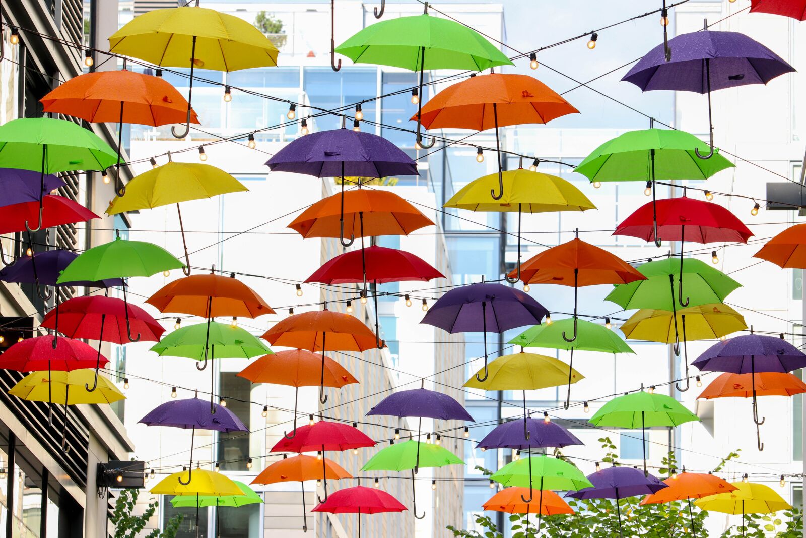 Canon EF-S 55-250mm F4-5.6 IS STM sample photo. Art, umbrella, colorful photography