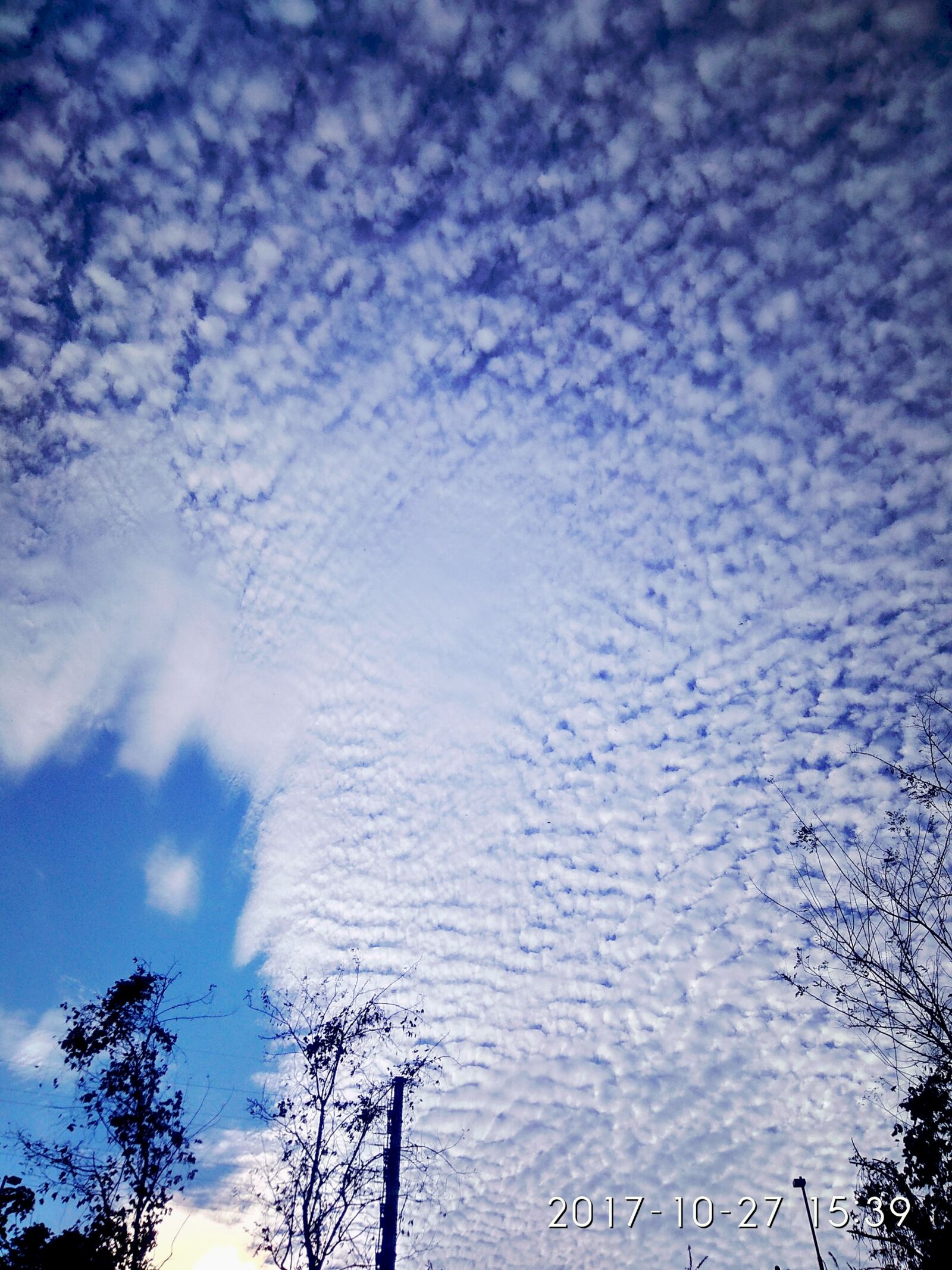 Xiaomi Redmi Note 4 sample photo