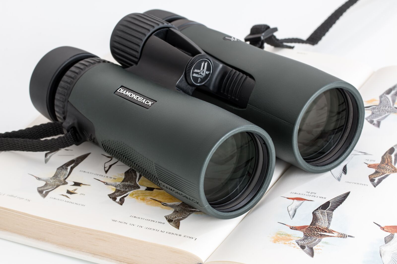 Canon EF 100mm F2.8L Macro IS USM sample photo. Binoculars, birdwatching, spy glass photography