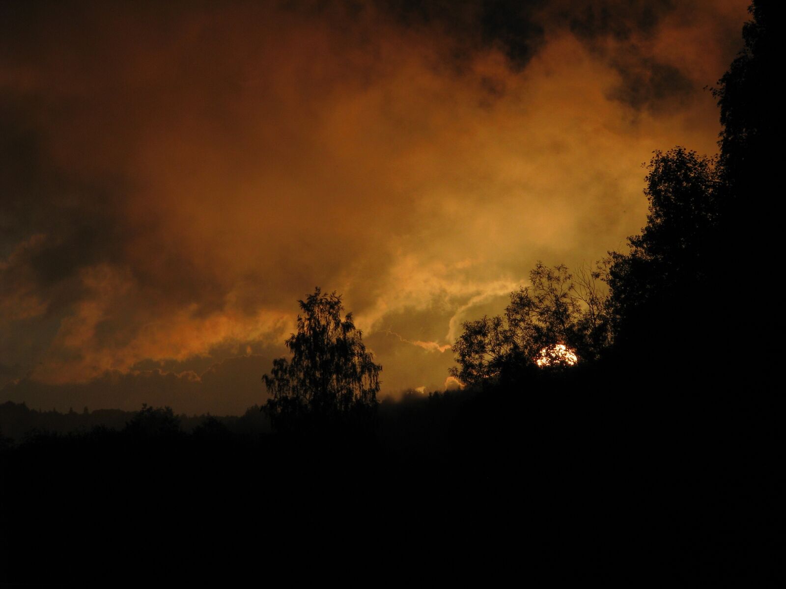 Canon POWERSHOT S5 IS sample photo. R, usva, the evening photography