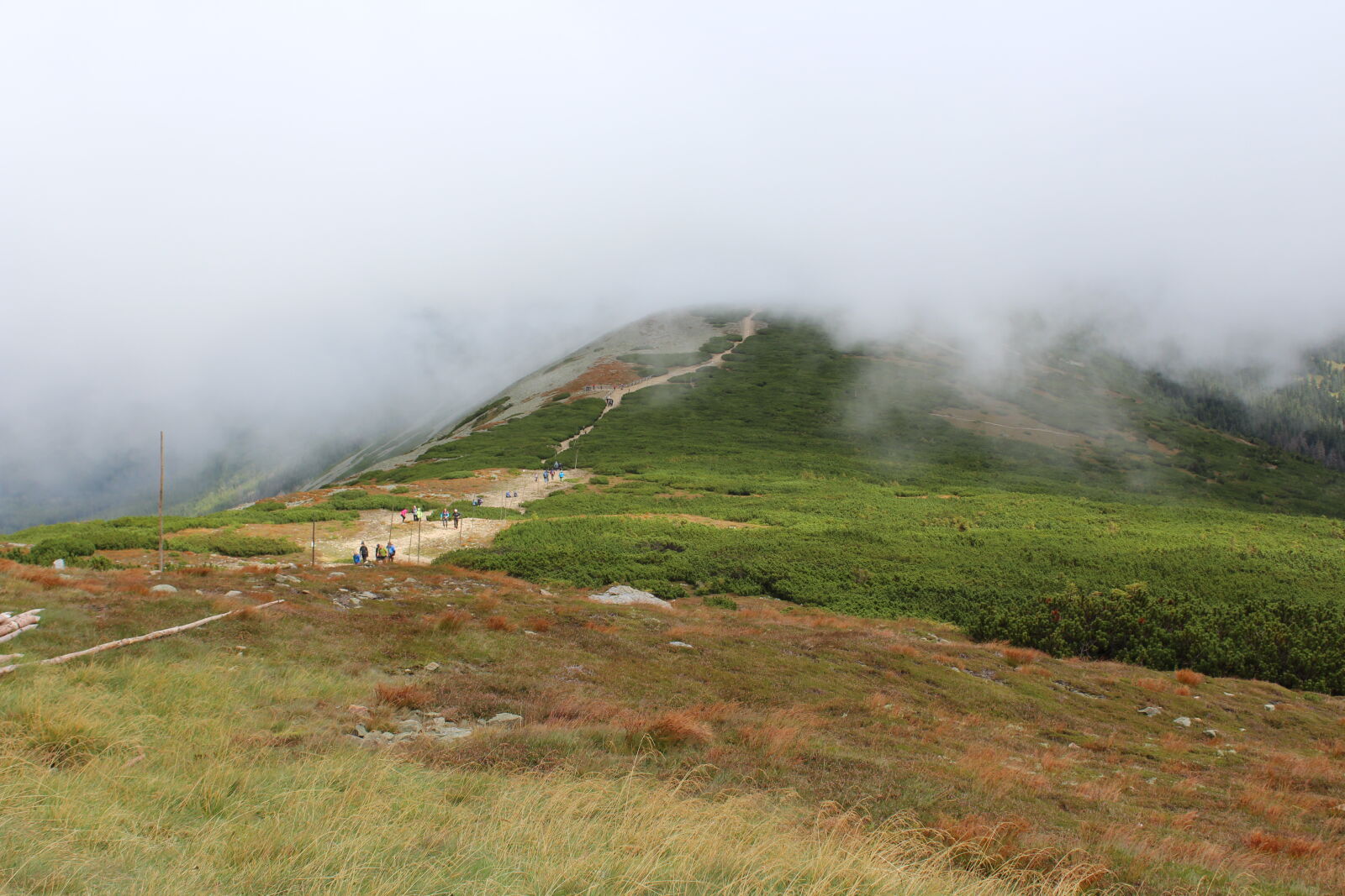 Canon EOS 1200D (EOS Rebel T5 / EOS Kiss X70 / EOS Hi) sample photo. Cloud, fog, foggy, mountain photography