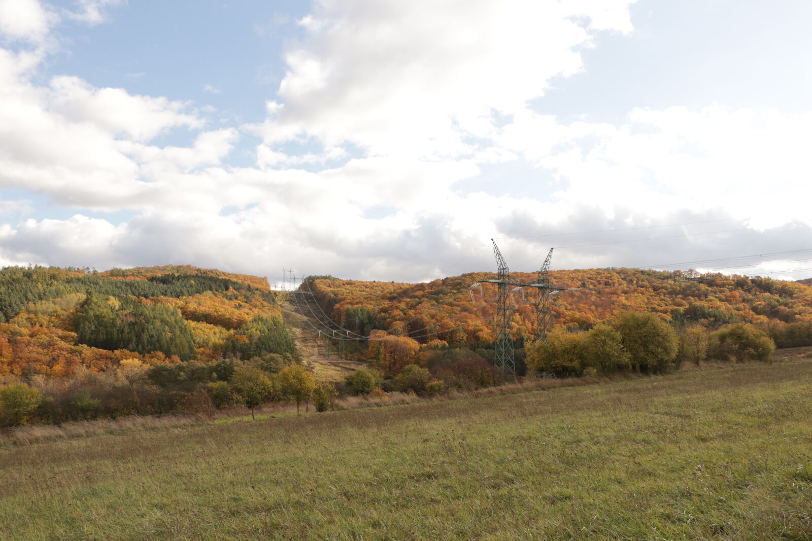 Canon EOS M50 Mark II (EOS Kiss M2) sample photo. Autumn photography