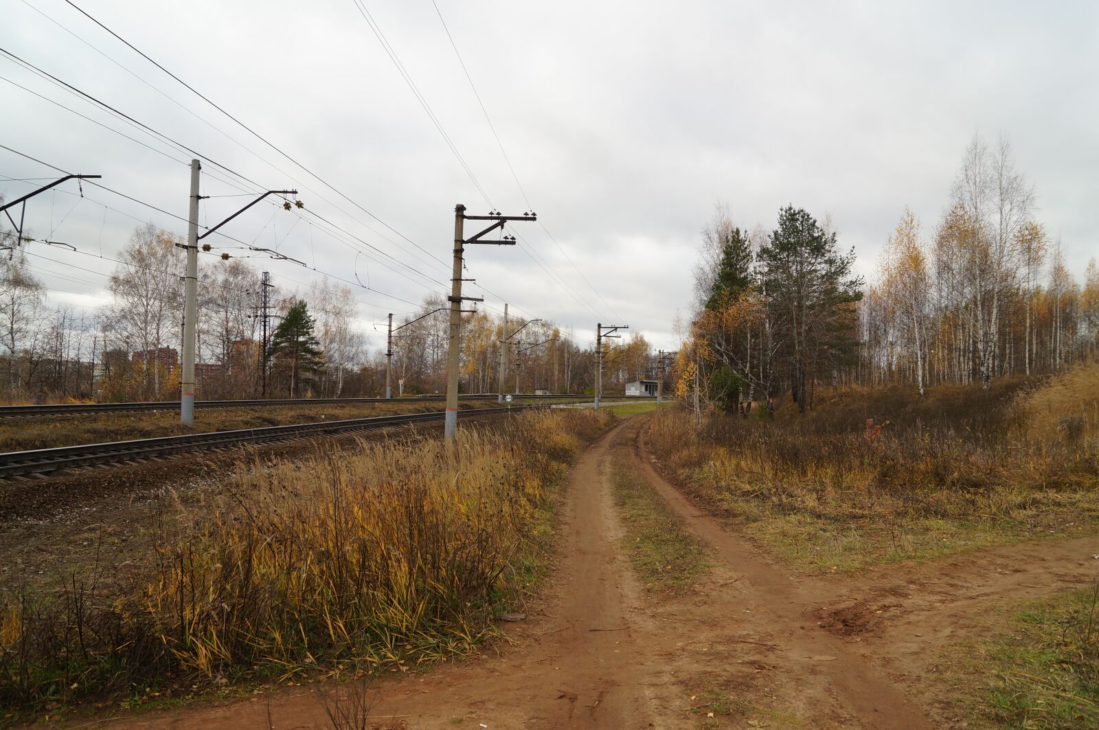 Sony SLT-A57 sample photo. Railway, autumn, pillars photography