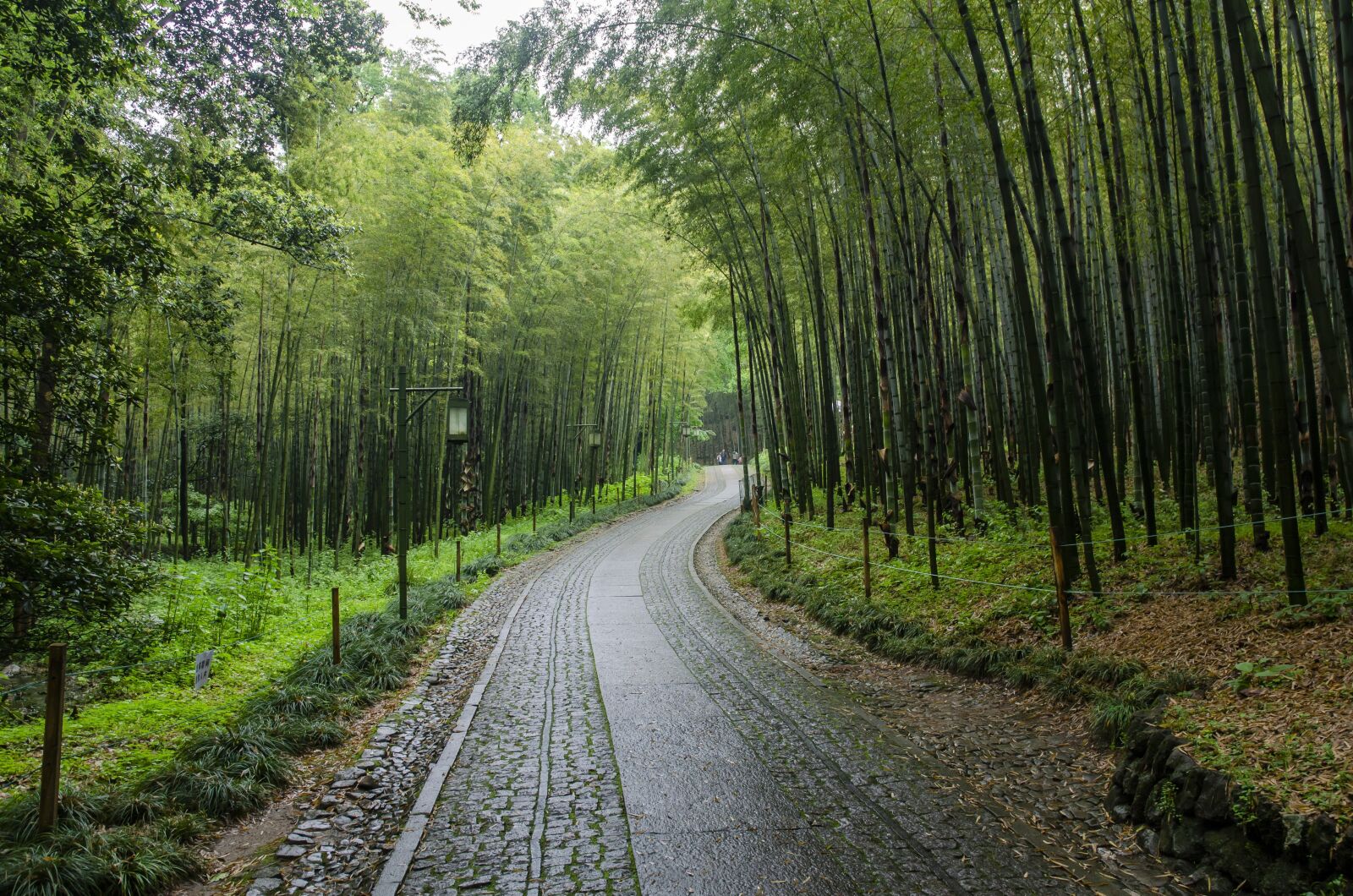 Nikon D7000 sample photo. Hangzhou, the cloud dwelling photography