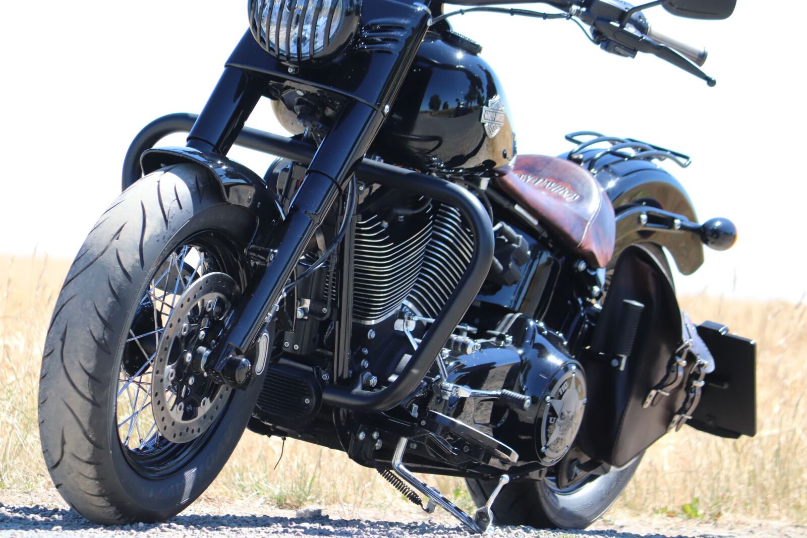 Canon EOS 200D (EOS Rebel SL2 / EOS Kiss X9) sample photo. Harley, davidson, motorcycle photography