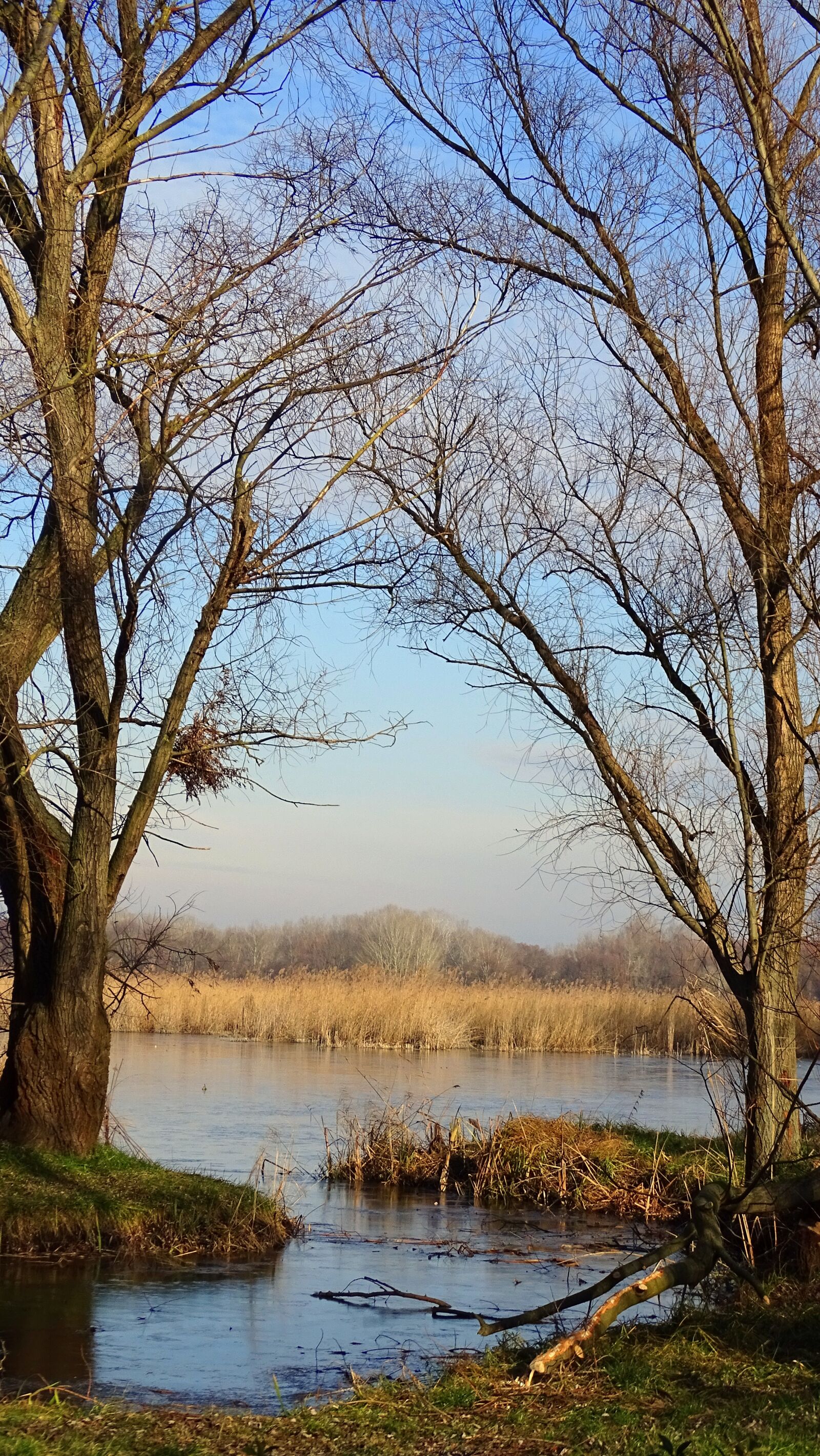 Sony Cyber-shot DSC-HX400V sample photo. Danube, river, nature photography