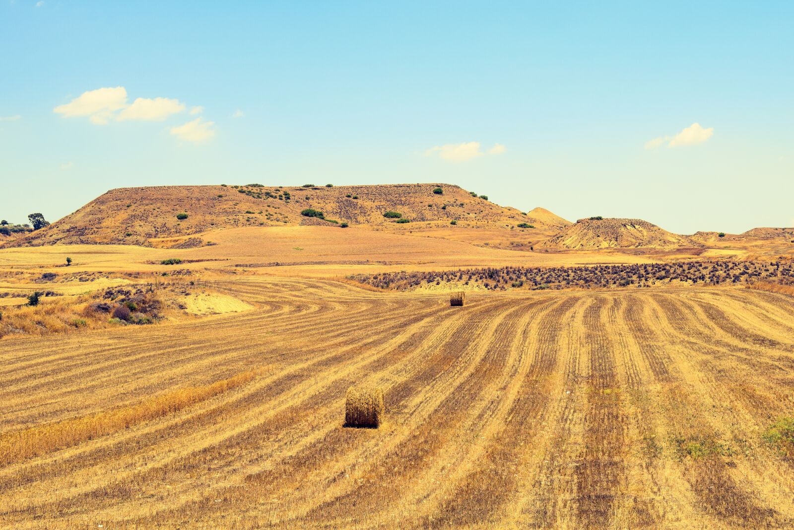Nikon D3300 sample photo. Barley fields, landscape, agriculture photography