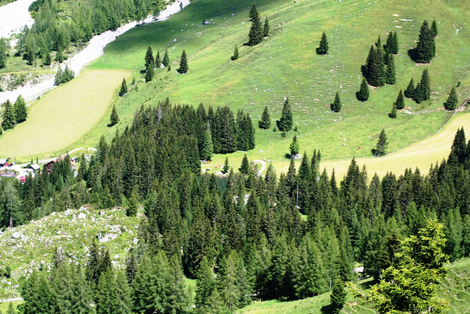 Canon EOS 350D (EOS Digital Rebel XT / EOS Kiss Digital N) sample photo. Alm, meadow, mountains photography