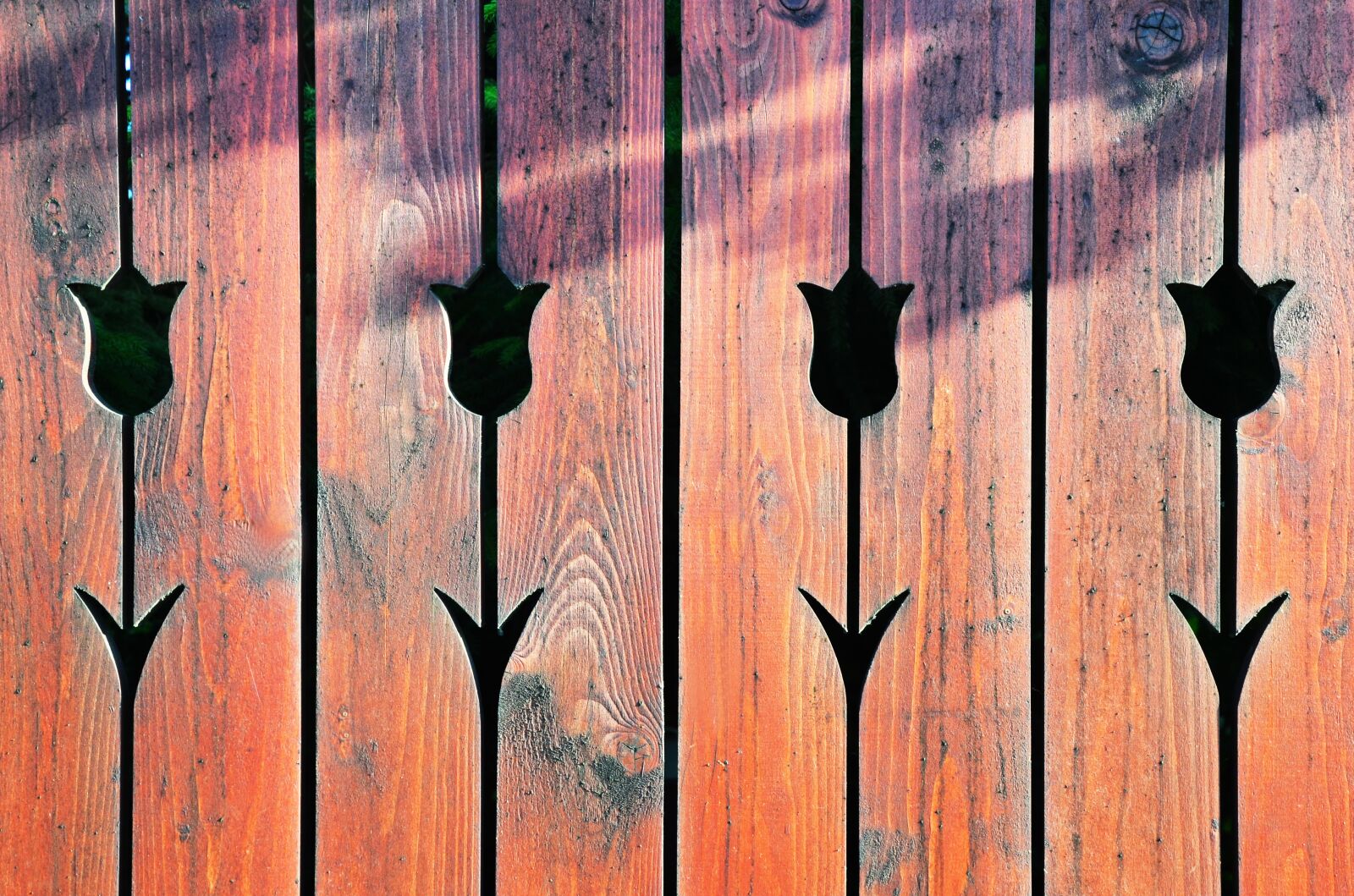 Nikon D7000 sample photo. Structure, fence, tulip photography