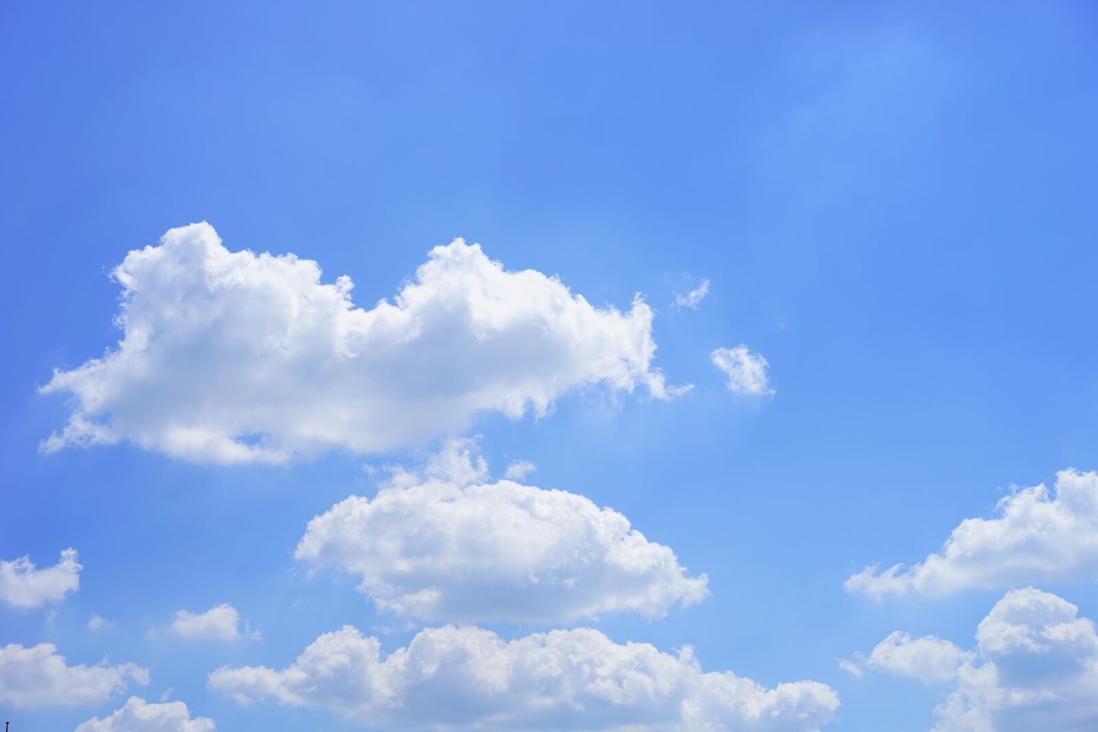 Sony a7 + Sony Sonnar T* FE 55mm F1.8 ZA sample photo. Clouds, cumulus, cumulus clouds photography