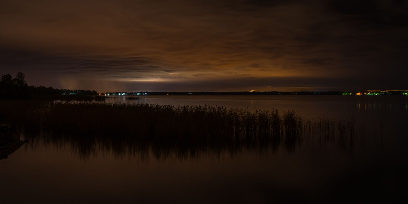 Sony a7R II + Canon EF 24-70mm F2.8L II USM sample photo. Water, night, reed photography