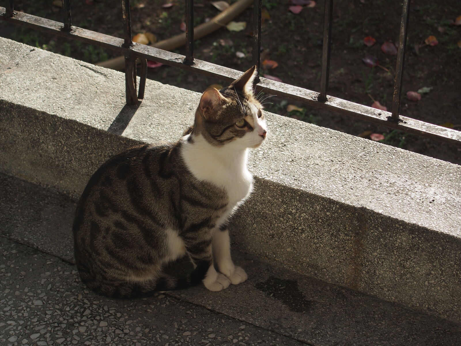 Olympus OM-D E-M5 sample photo