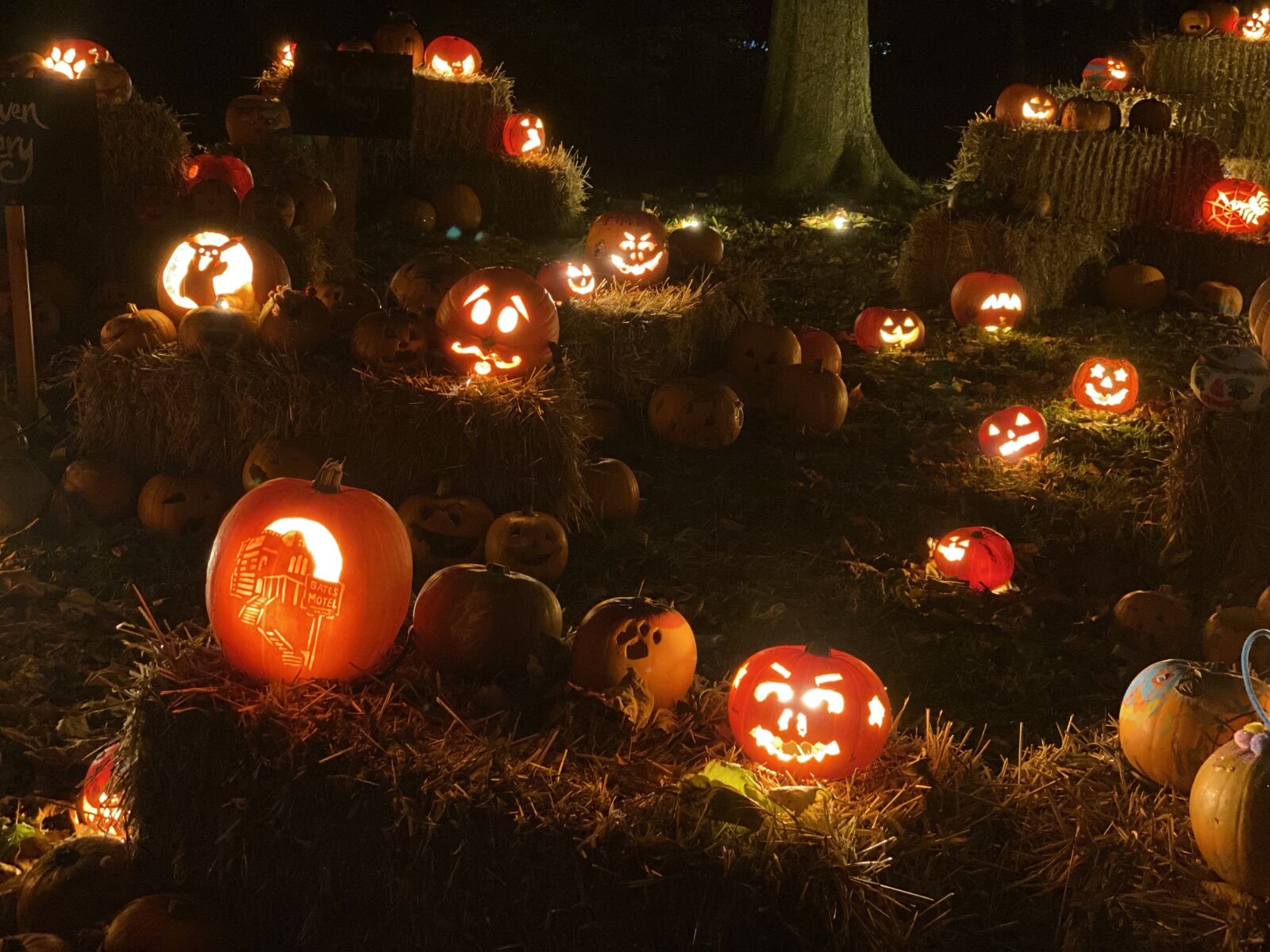 Apple iPhone 11 Pro sample photo. Halloween, pumpkins, glowing photography