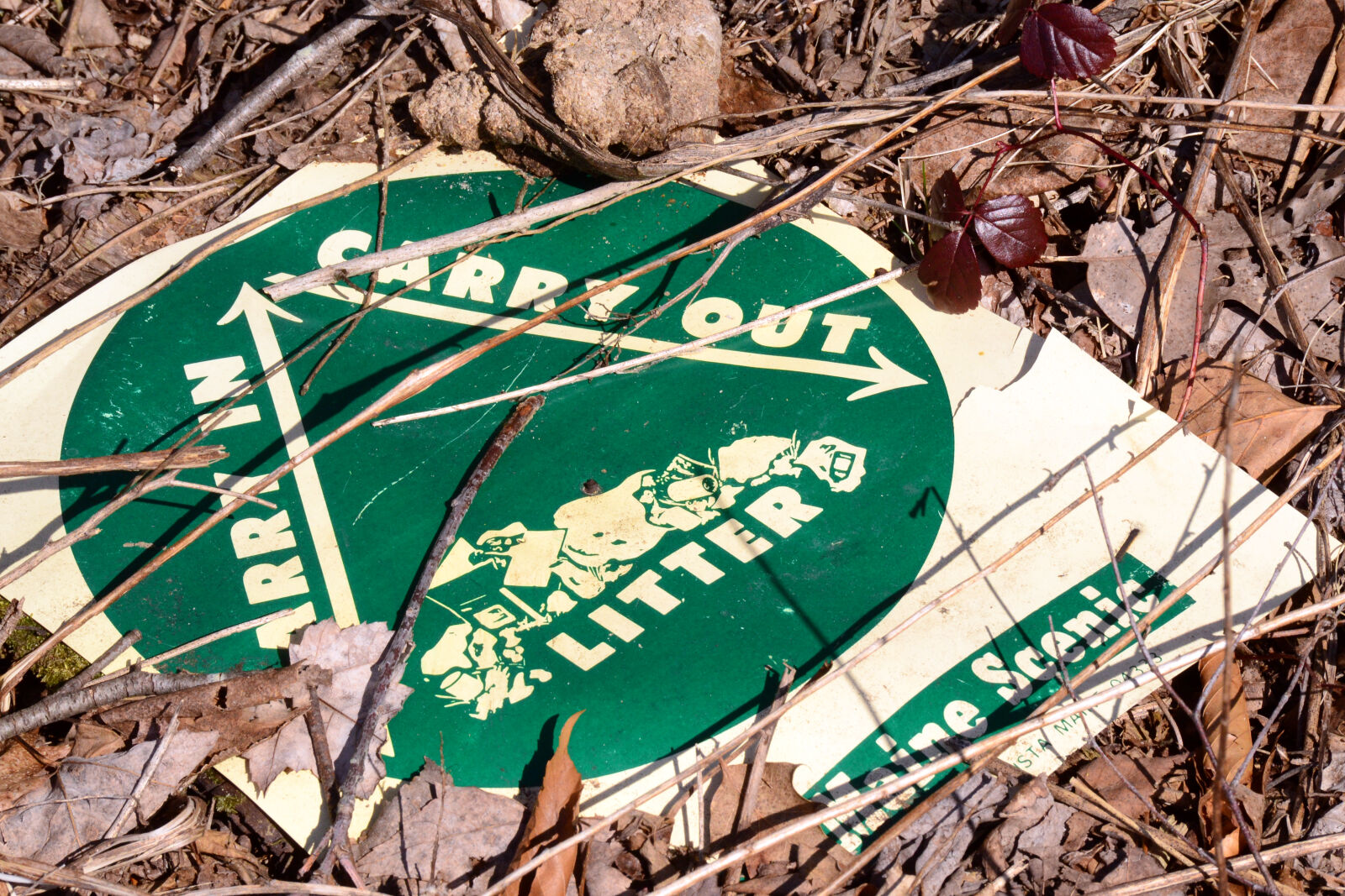 Nikon D3100 sample photo. Forest, green, litter, sign photography