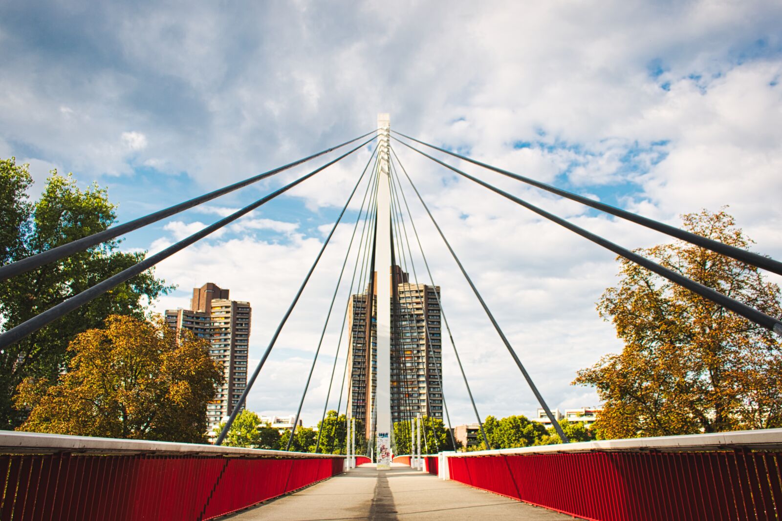 Canon EOS 70D sample photo. Bridge, neckar, mannheim photography