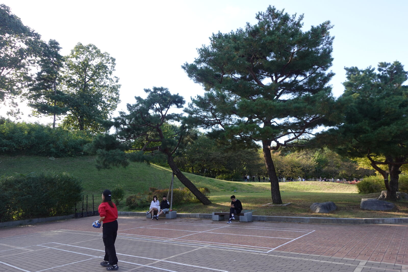 Sony ZV-1 sample photo