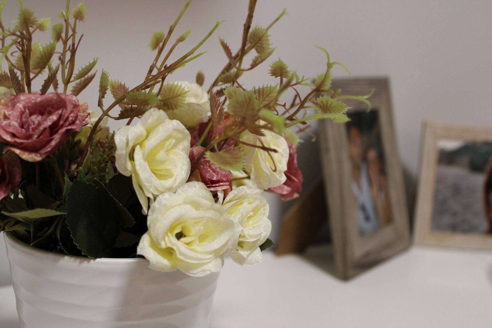 Canon EOS 2000D (EOS Rebel T7 / EOS Kiss X90 / EOS 1500D) sample photo. Flower, vintage, home photography