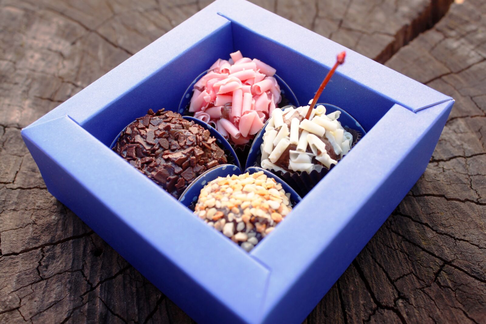 Canon EOS 500D (EOS Rebel T1i / EOS Kiss X3) sample photo. Candy, brigadeiros, brigadier photography