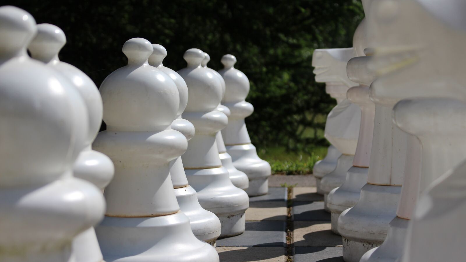 Canon EOS 700D (EOS Rebel T5i / EOS Kiss X7i) sample photo. Chess, chess board, park photography